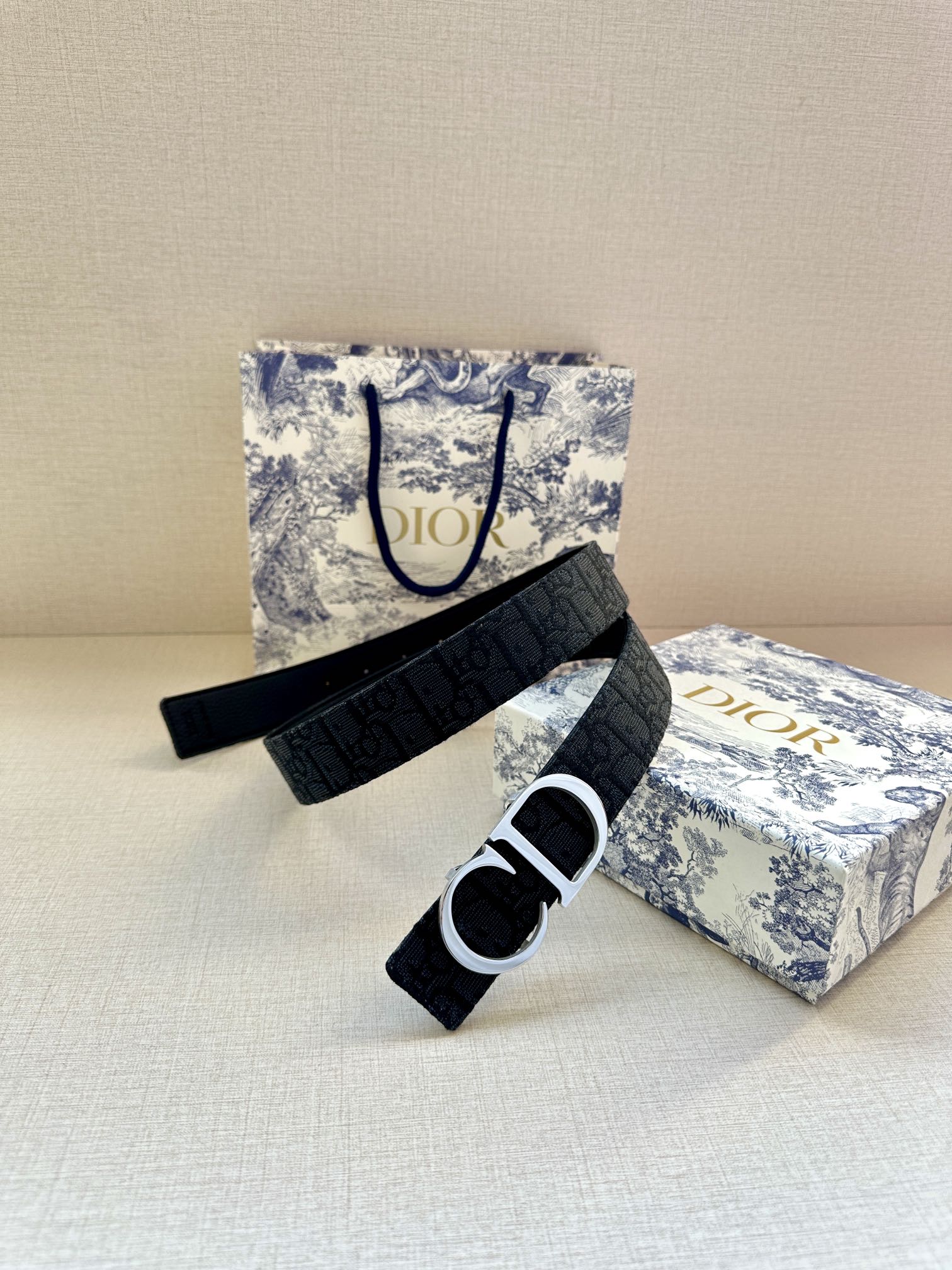 Dior Male Basic Belt Gold M-l