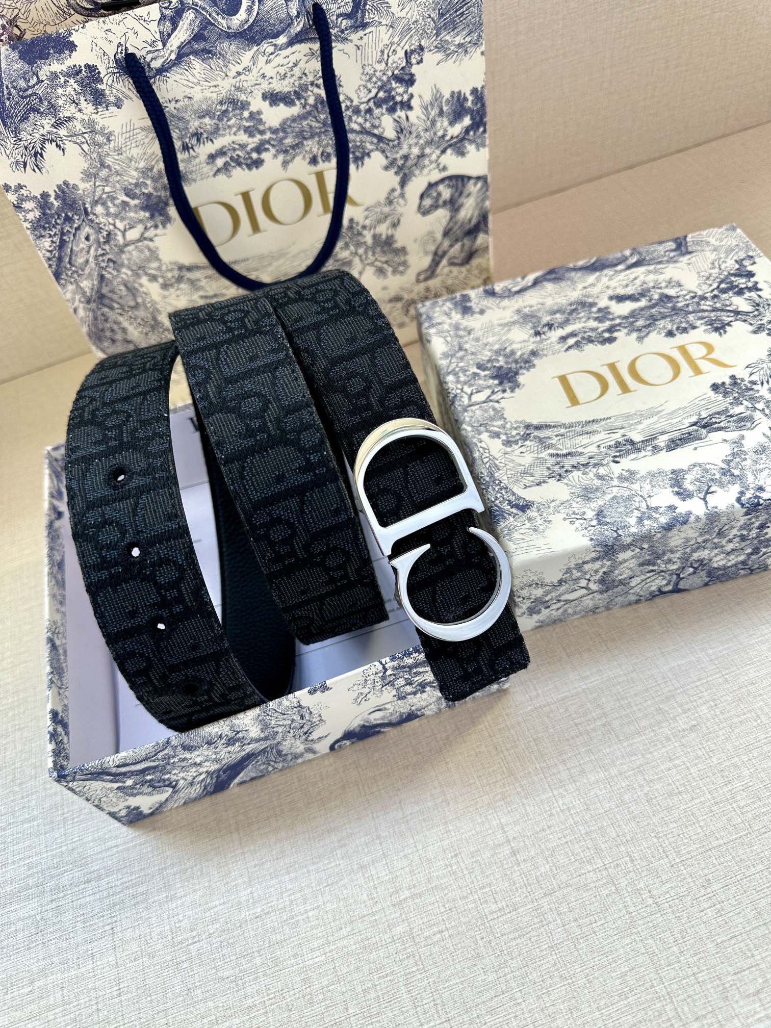 Dior Male Basic Belt Gold M-l