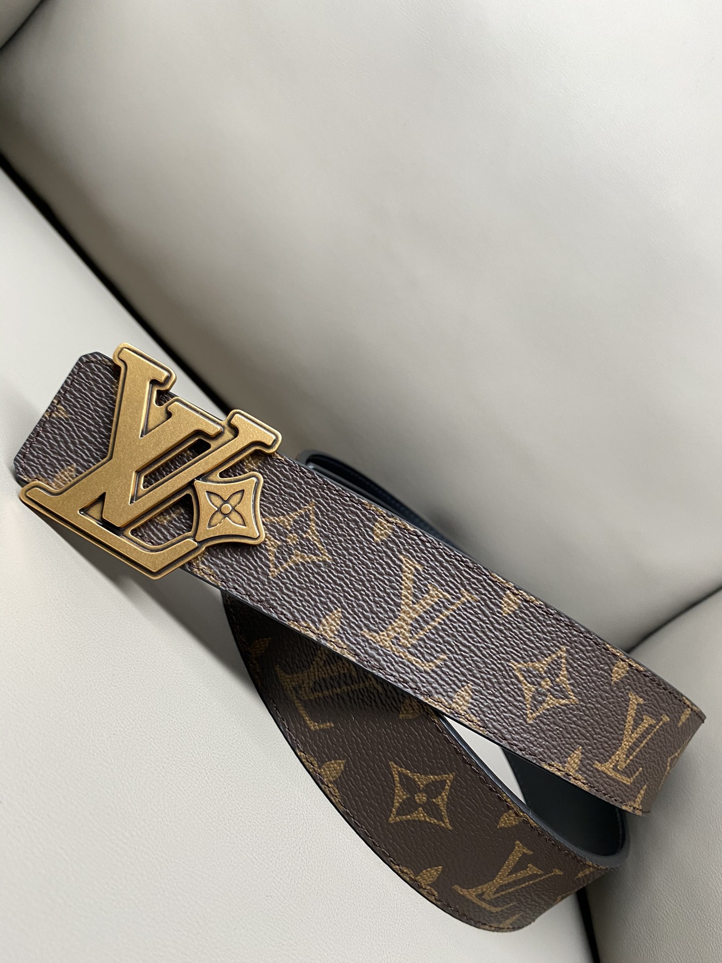 Louis Vuitton Basic Belt Canvas M-l
