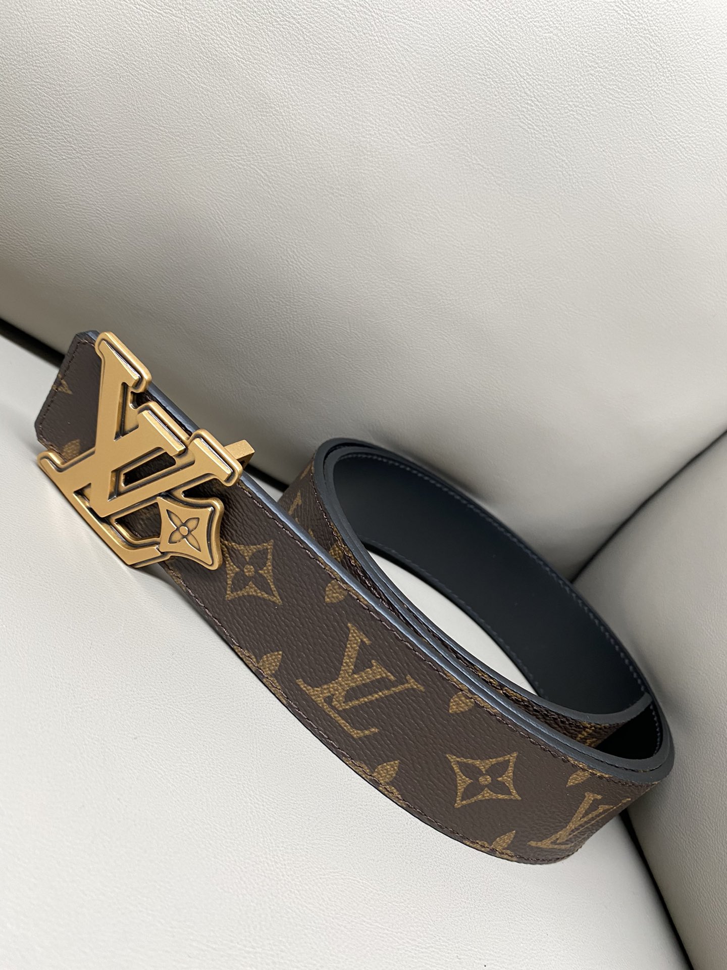 Louis Vuitton Basic Belt Canvas M-l
