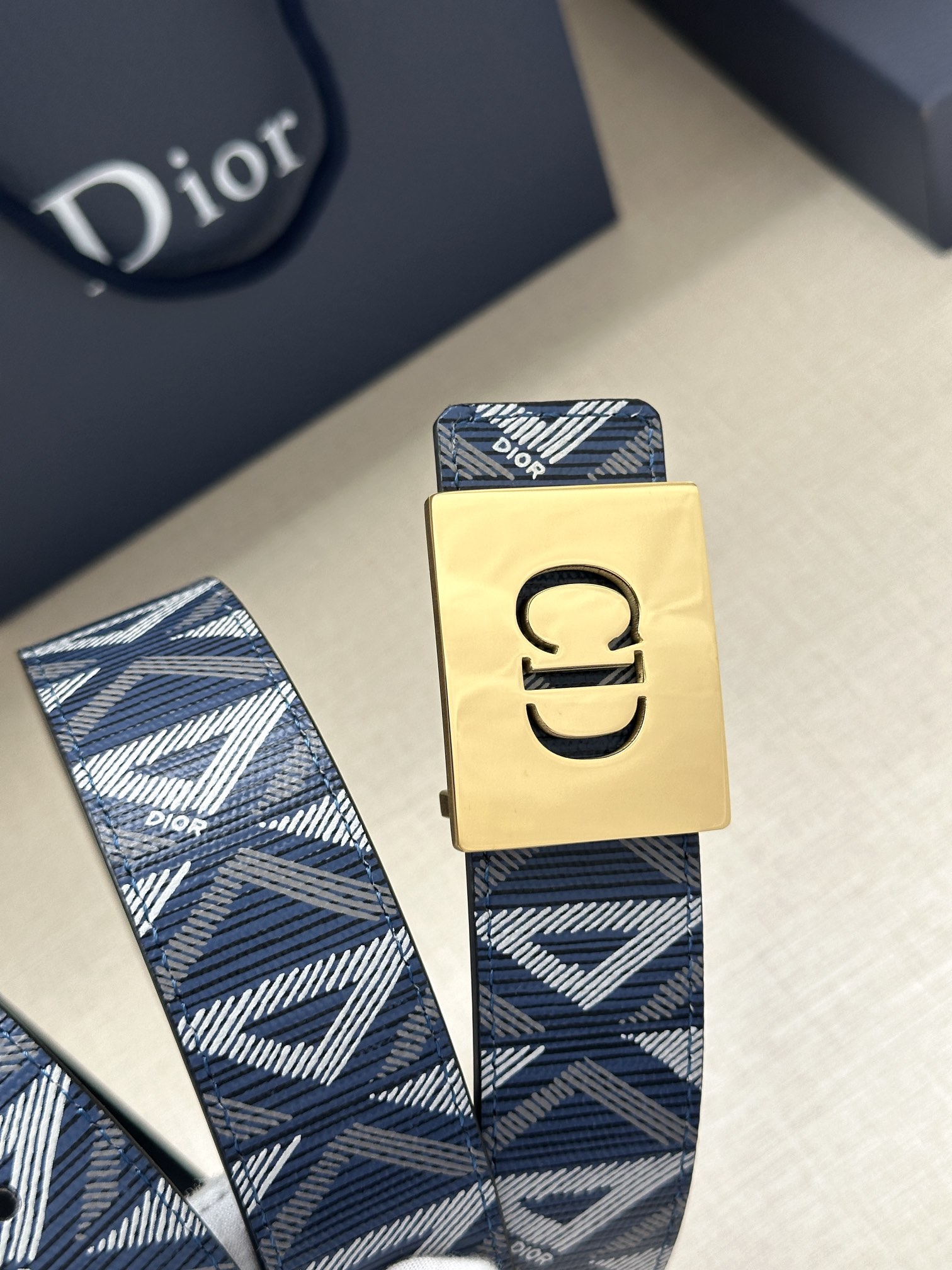 Dior Basic Belt Gray M