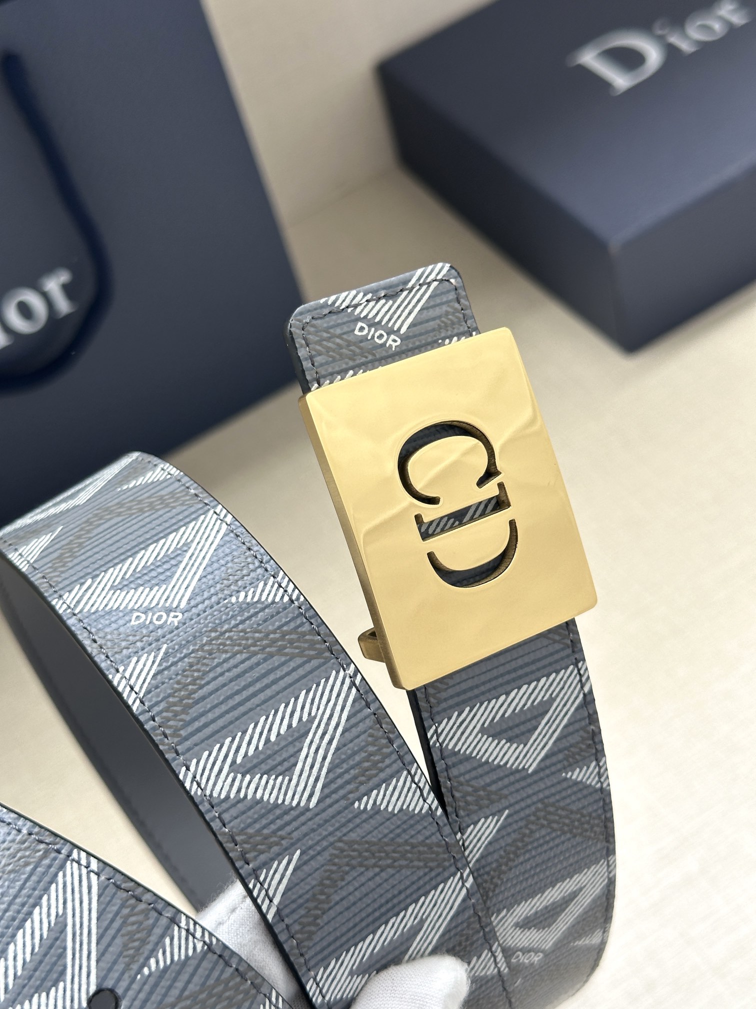 Dior Basic Belt Gray M