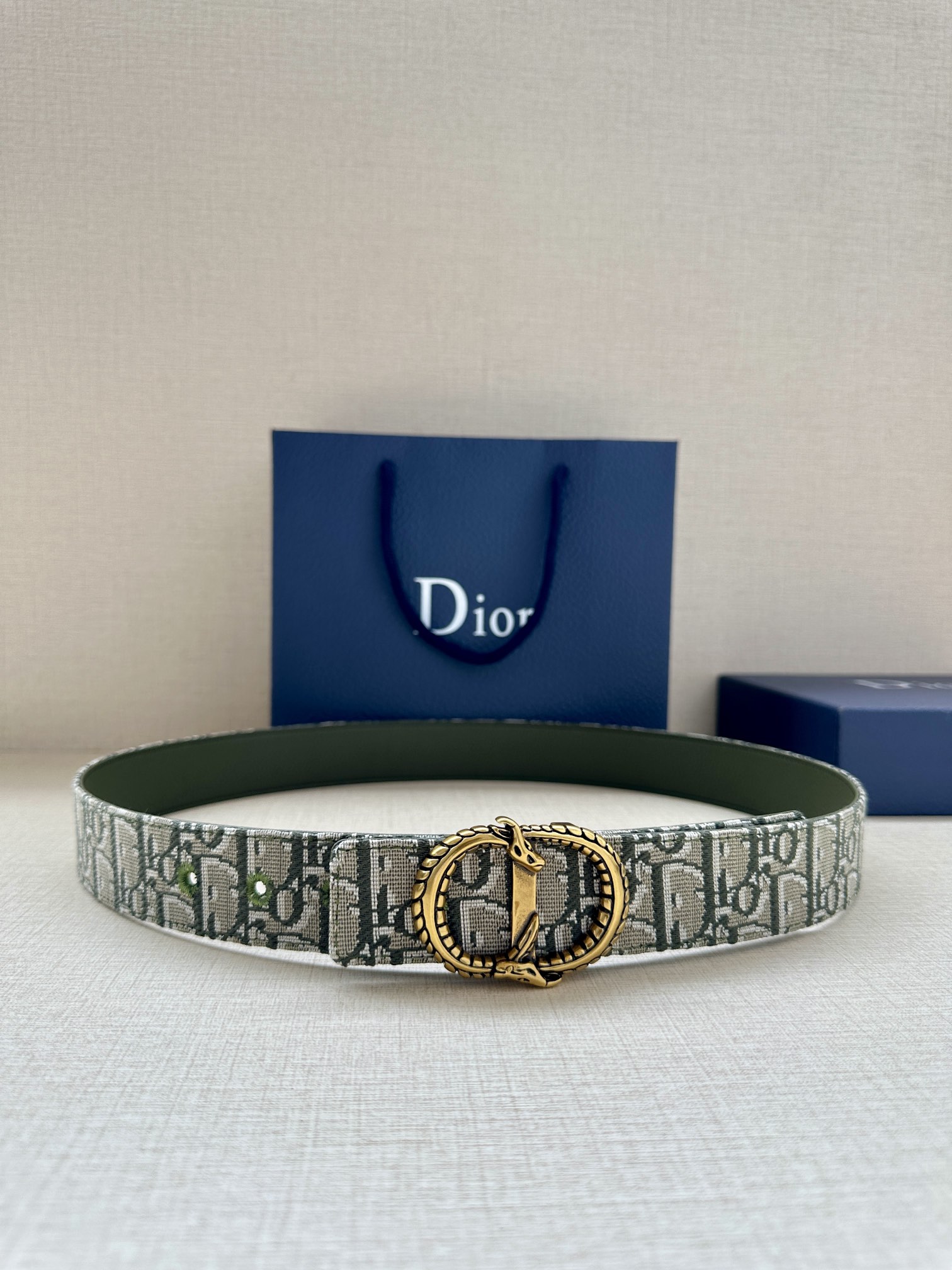 Dior Basic Belt Silver M