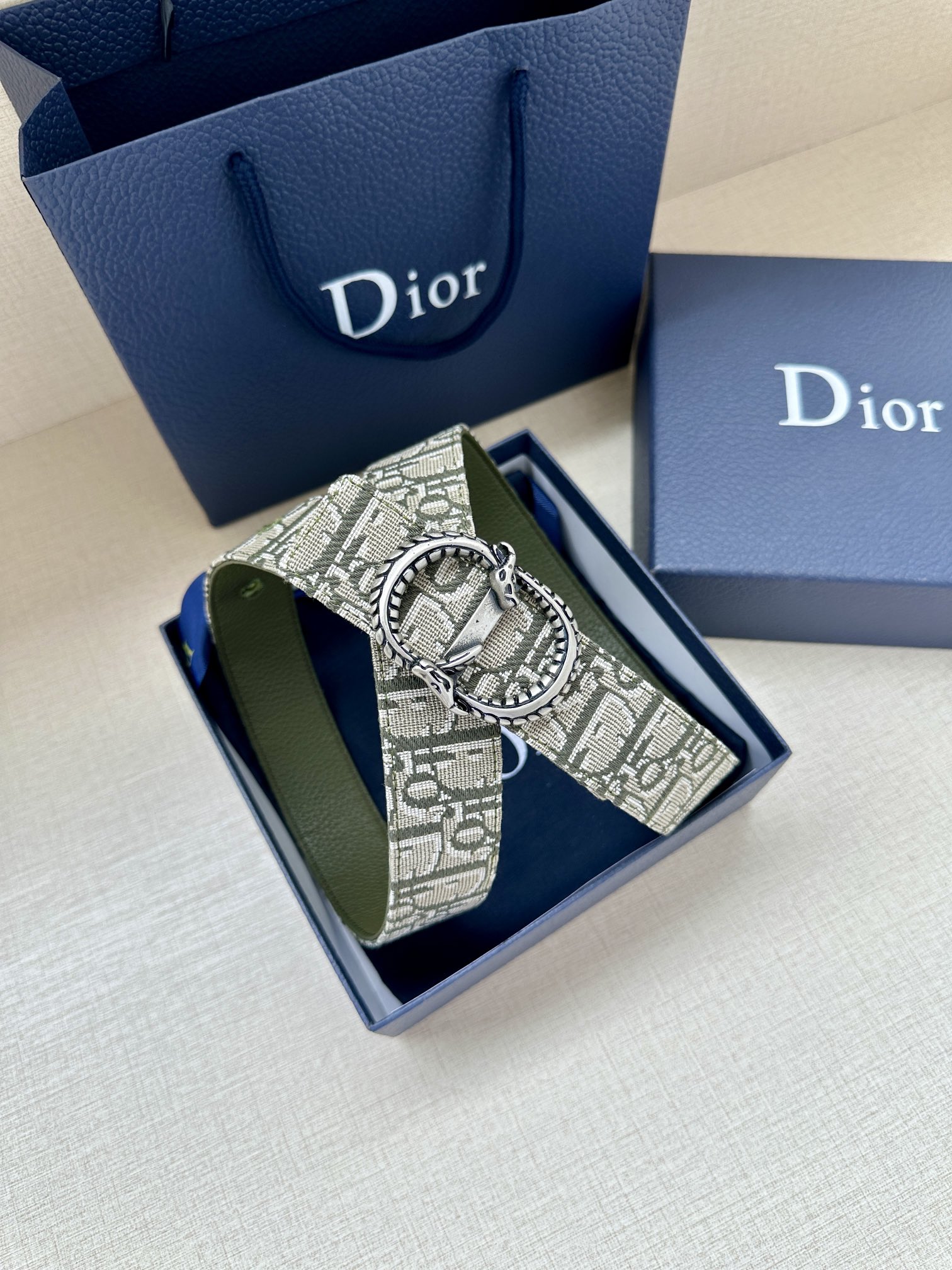 Dior Basic Belt Silver M