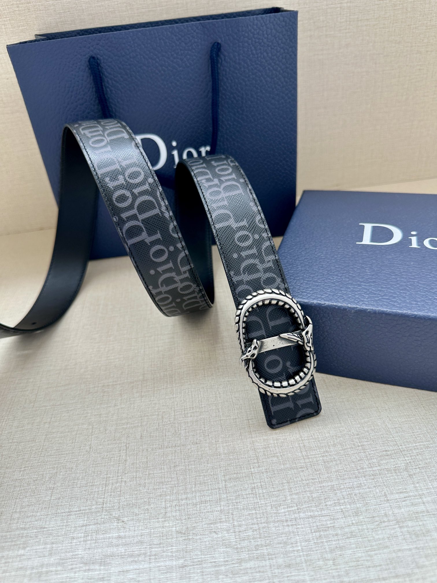 Dior Basic Belt Silver M