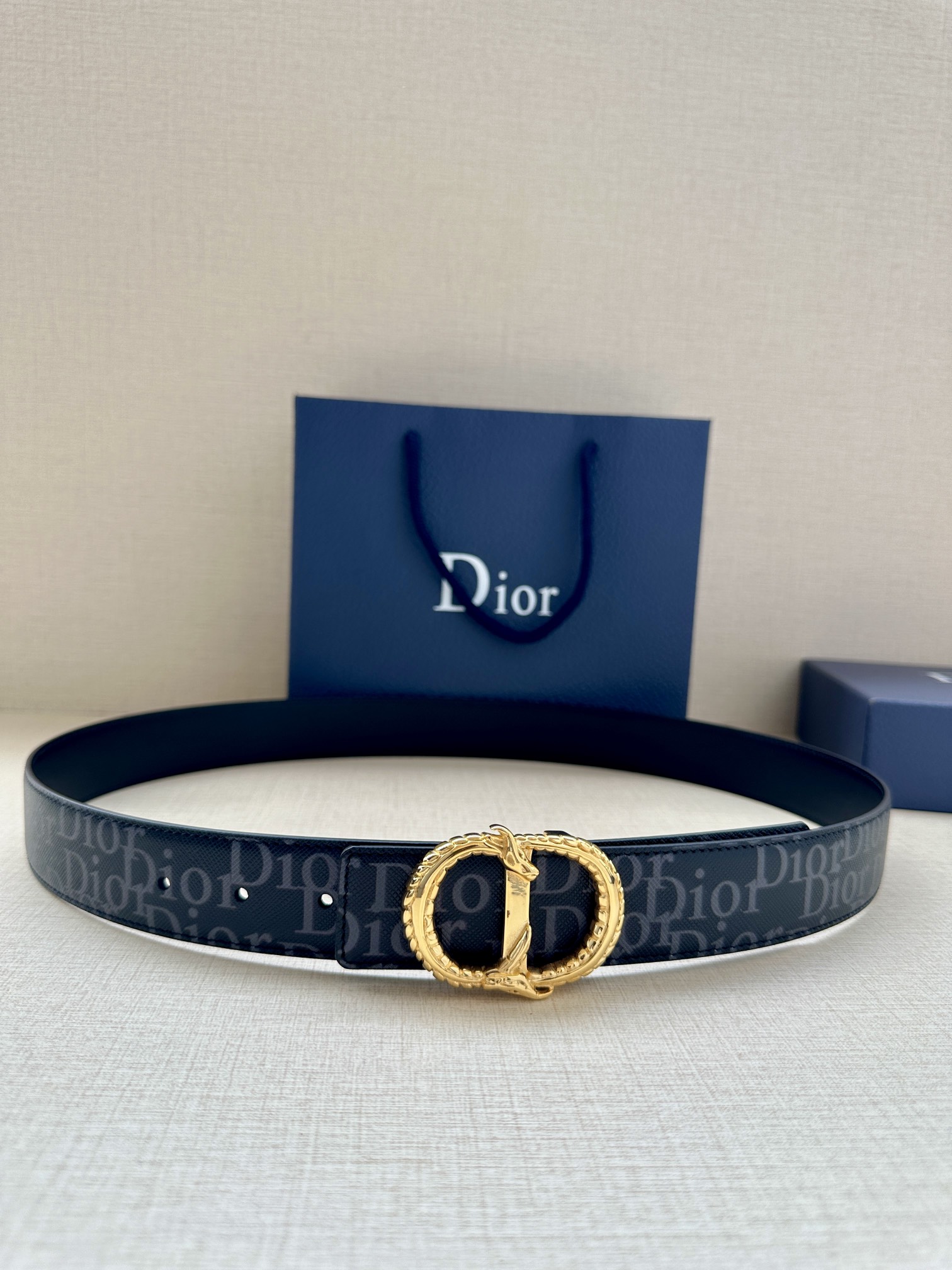 Dior Basic Belt Silver M