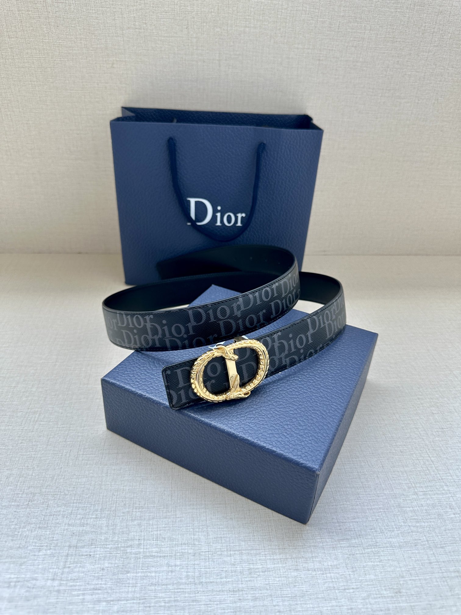 Dior Basic Belt Silver M