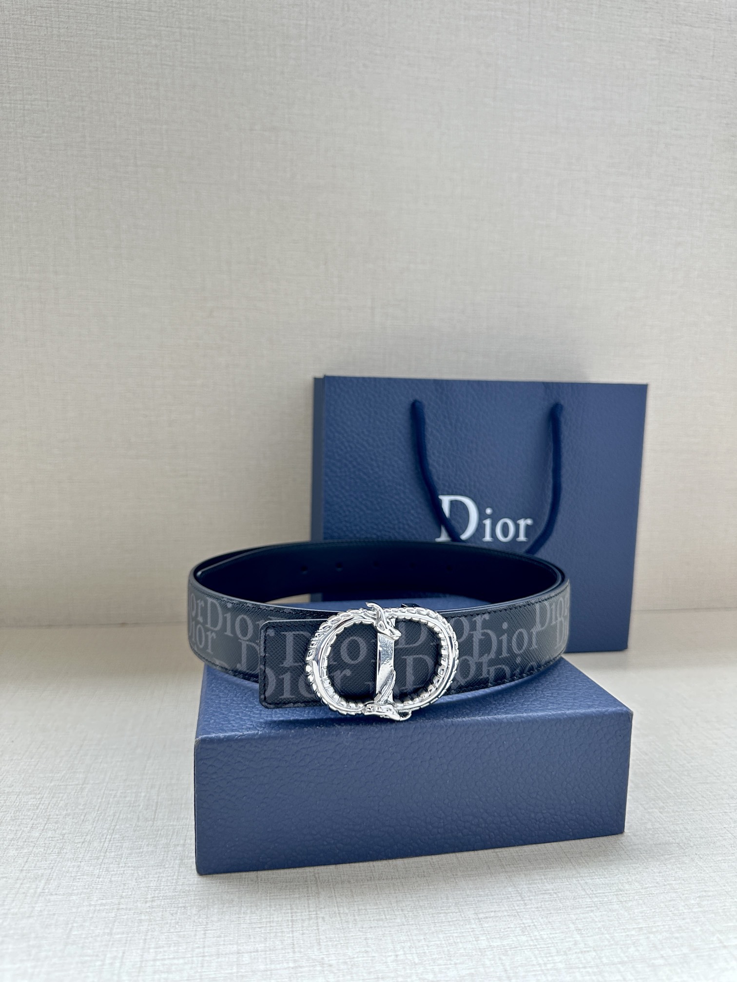 Dior Basic Belt Silver M