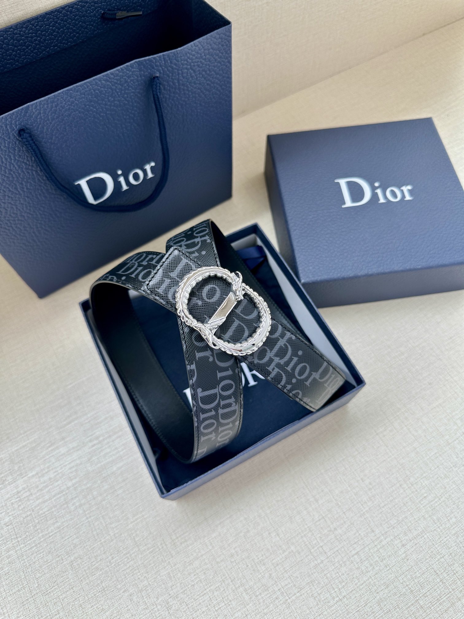 Dior Basic Belt Silver M