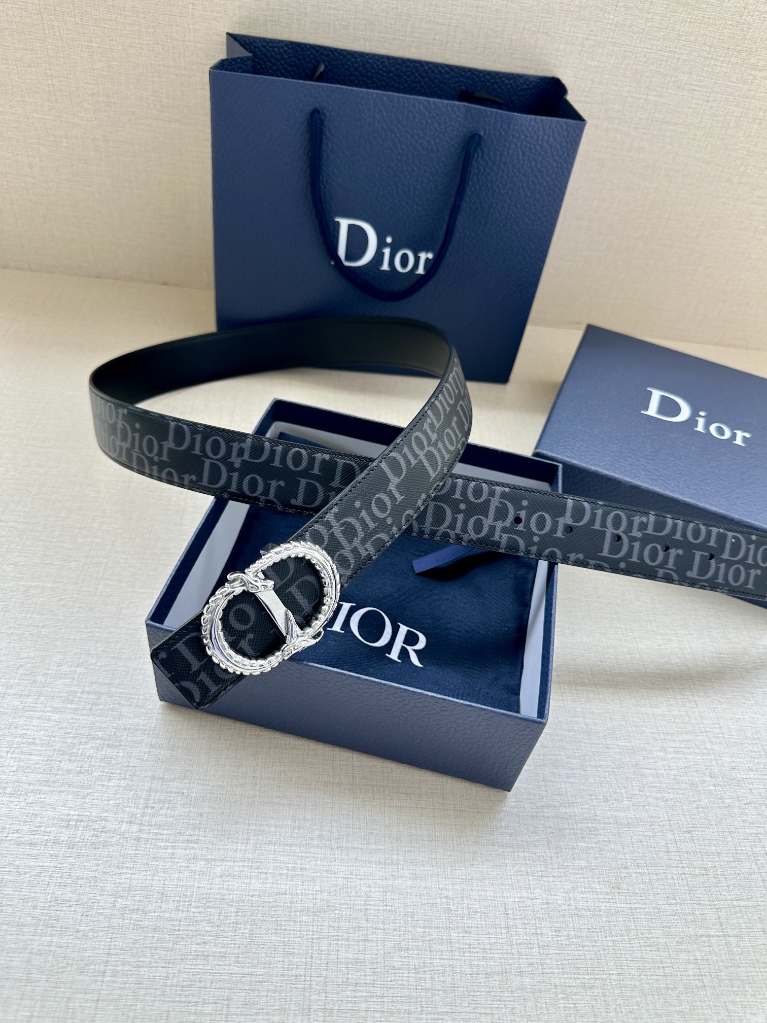 Dior Basic Belt Silver M