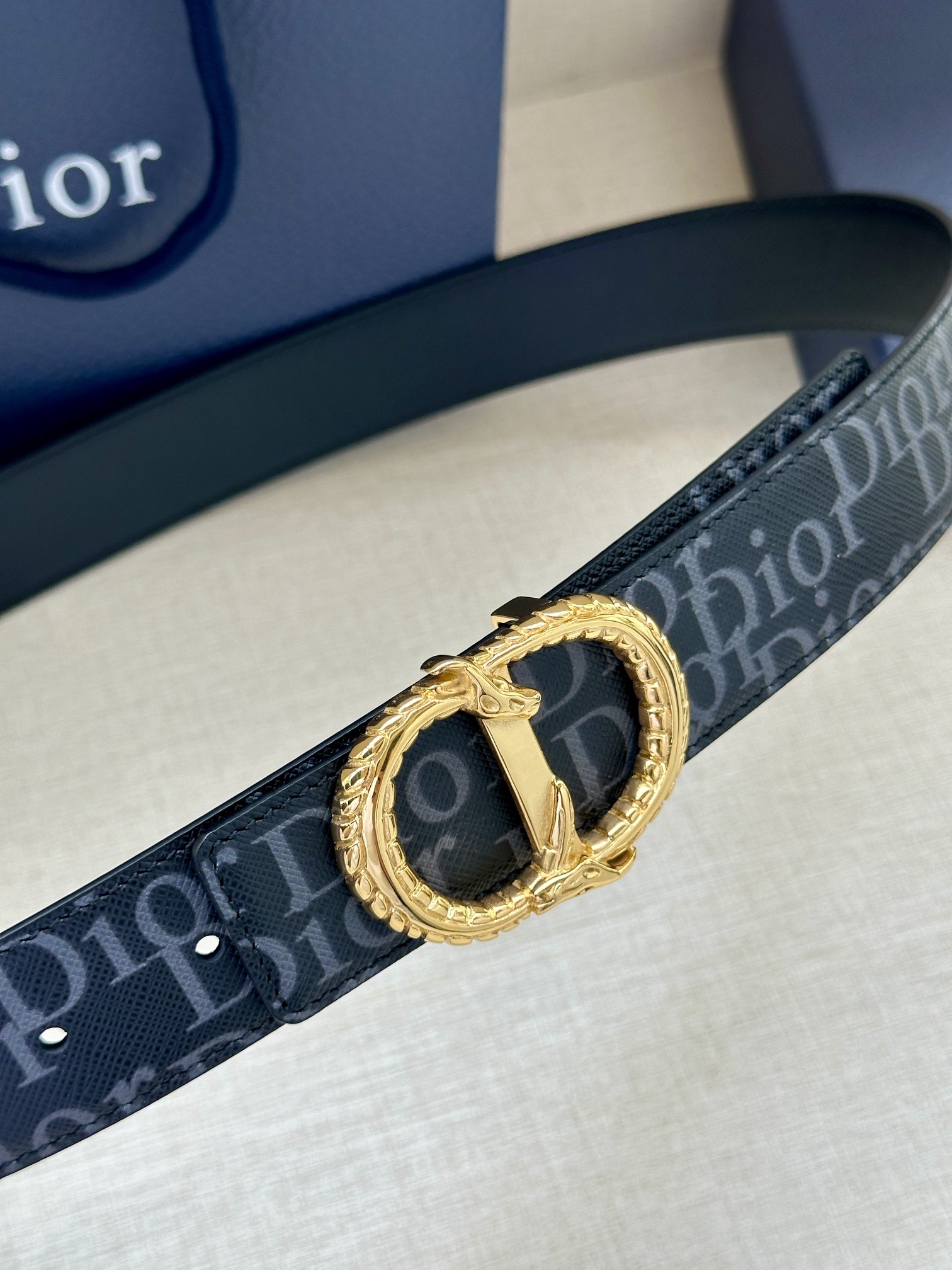 Dior Basic Belt Silver M