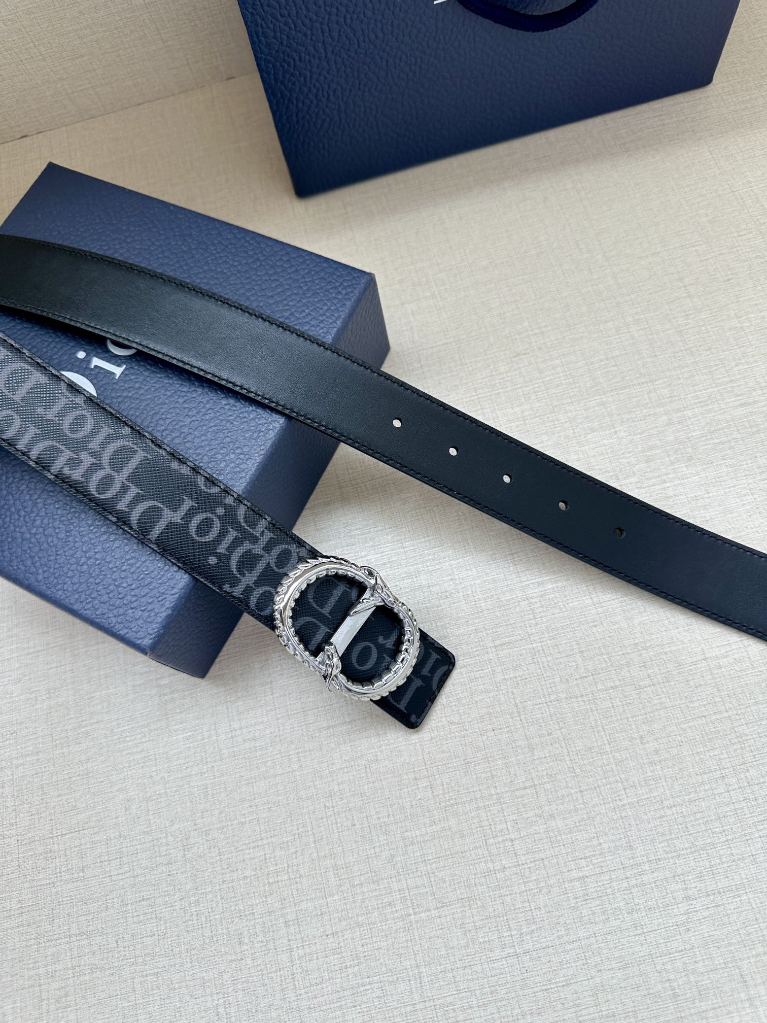 Dior Basic Belt Silver M