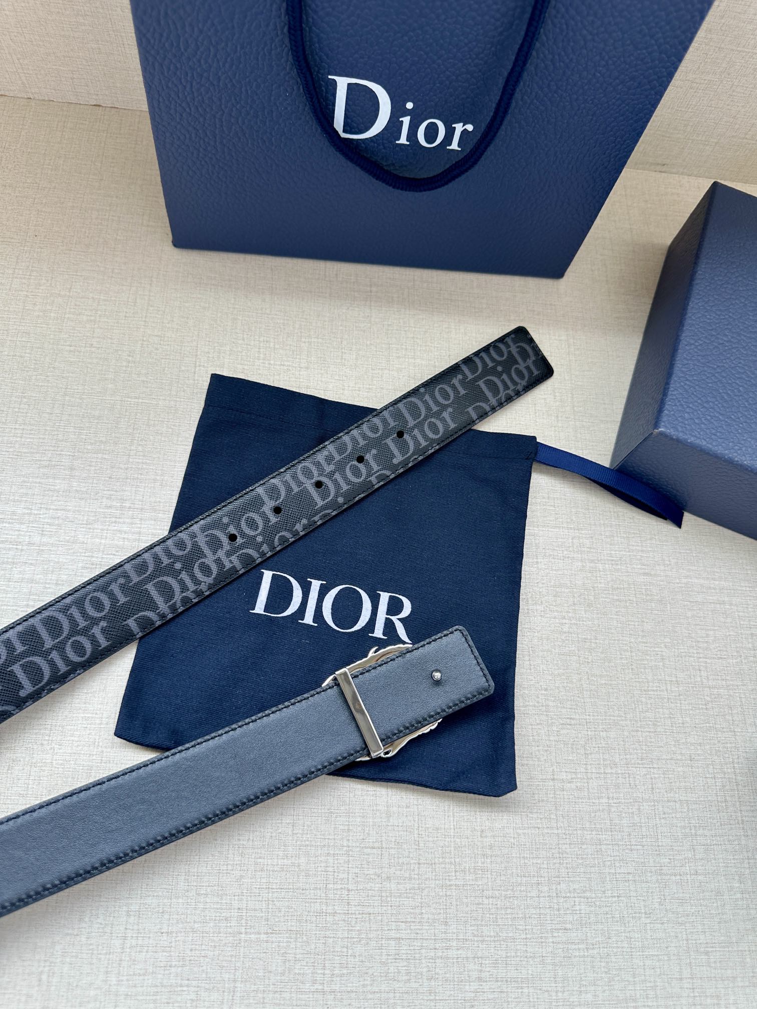 Dior Basic Belt Silver M