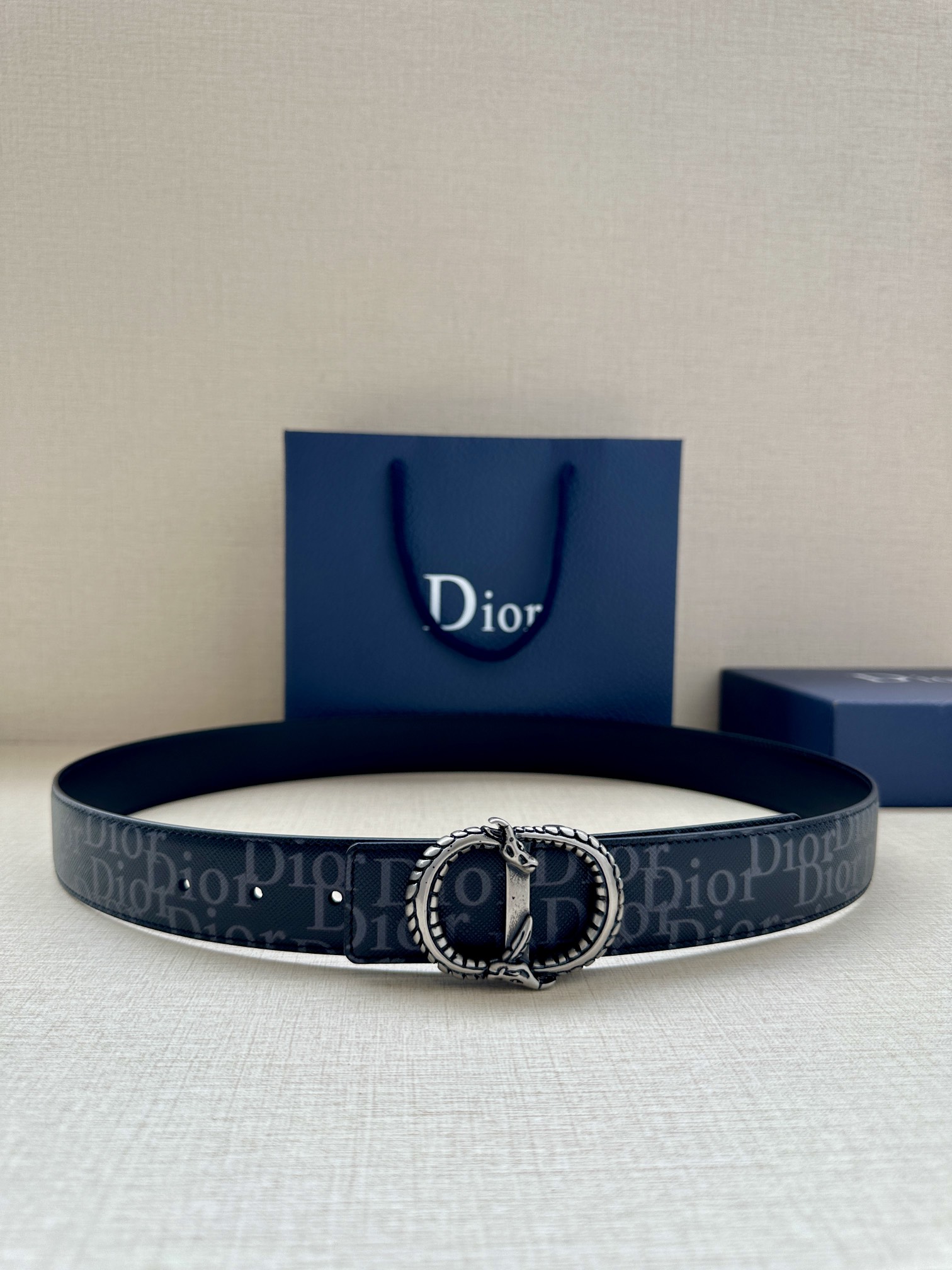Dior Basic Belt Silver M