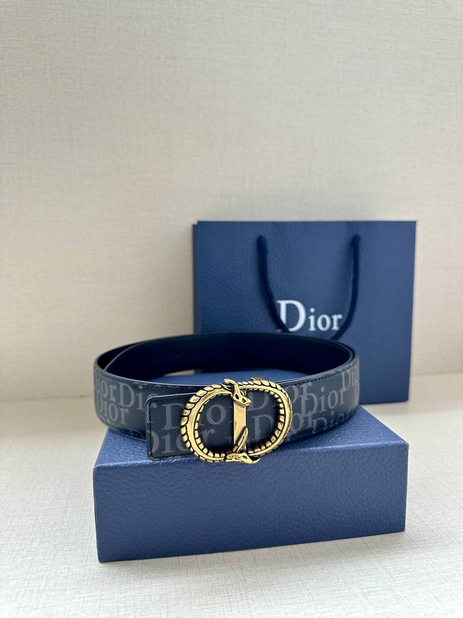 Dior Basic Belt Silver M