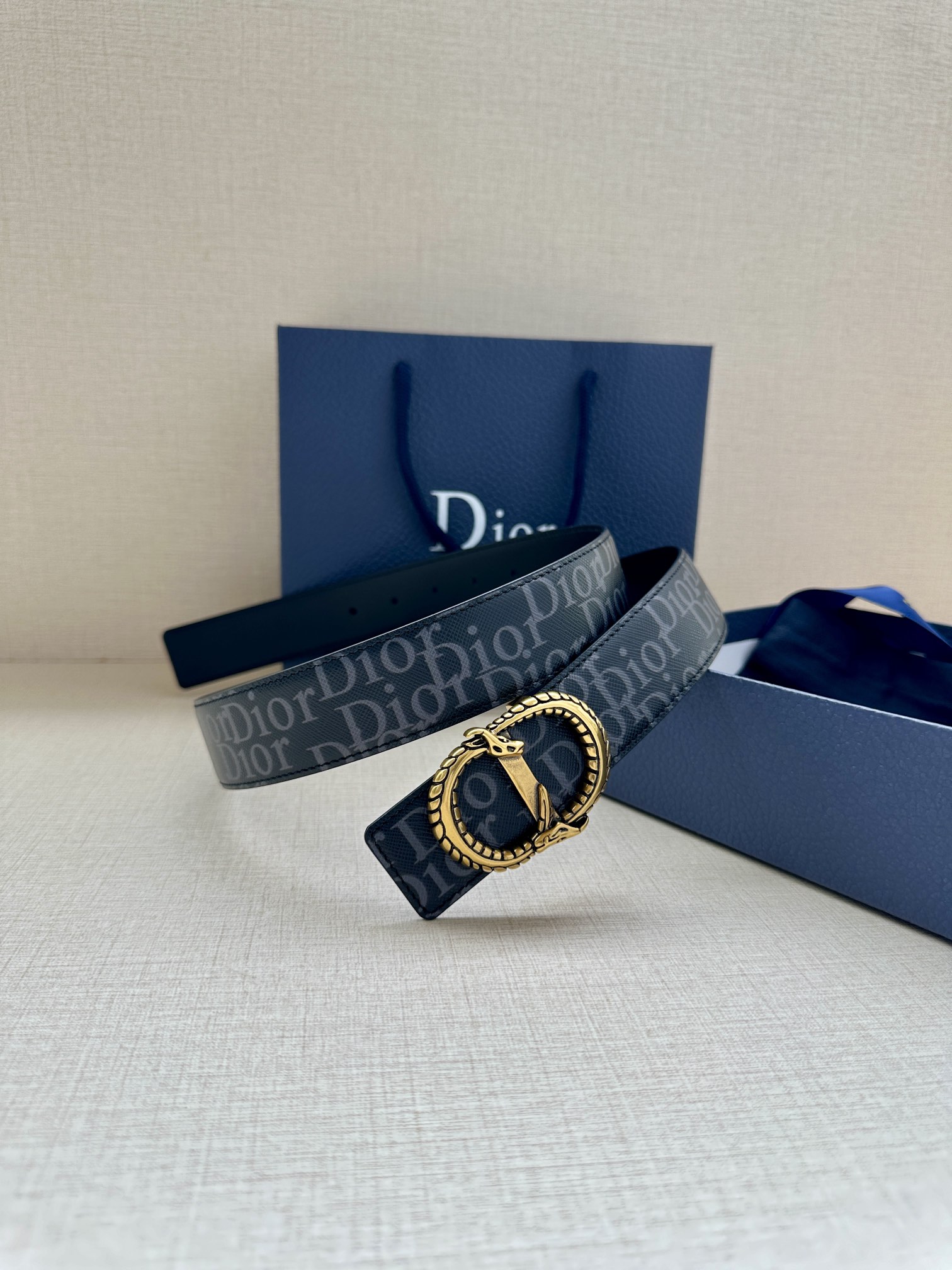 Dior Basic Belt Silver M