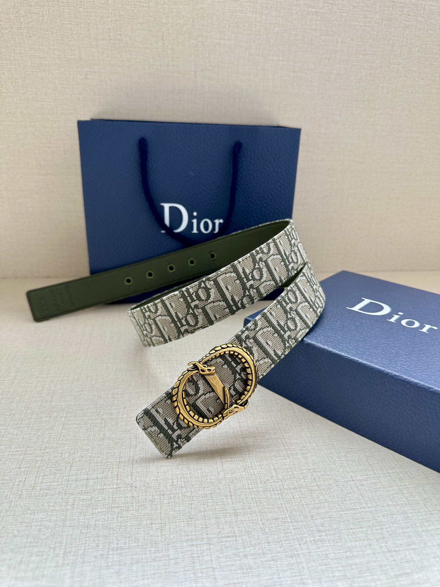 Dior Basic Belt Silver M
