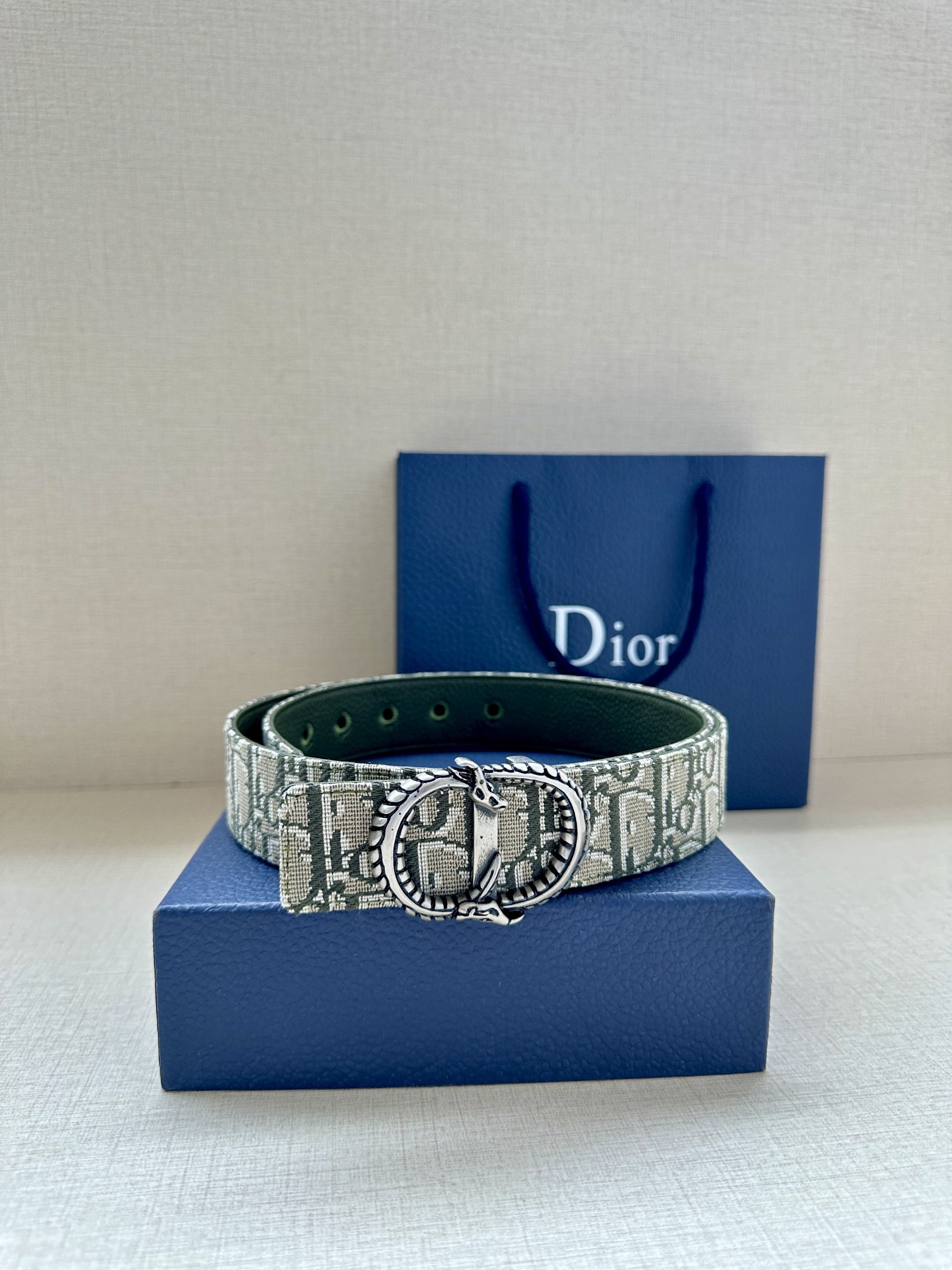 Dior Basic Belt Silver M
