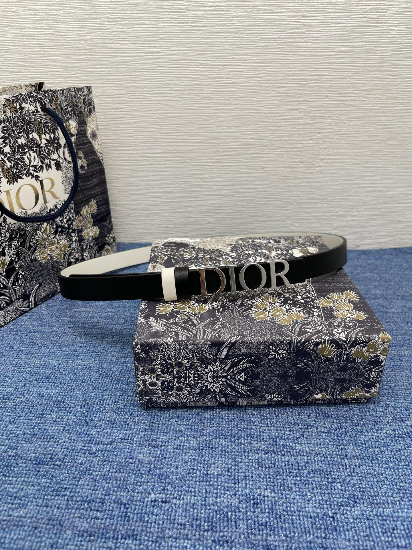 Dior Female Basic Belt Cow Leather Black S-m