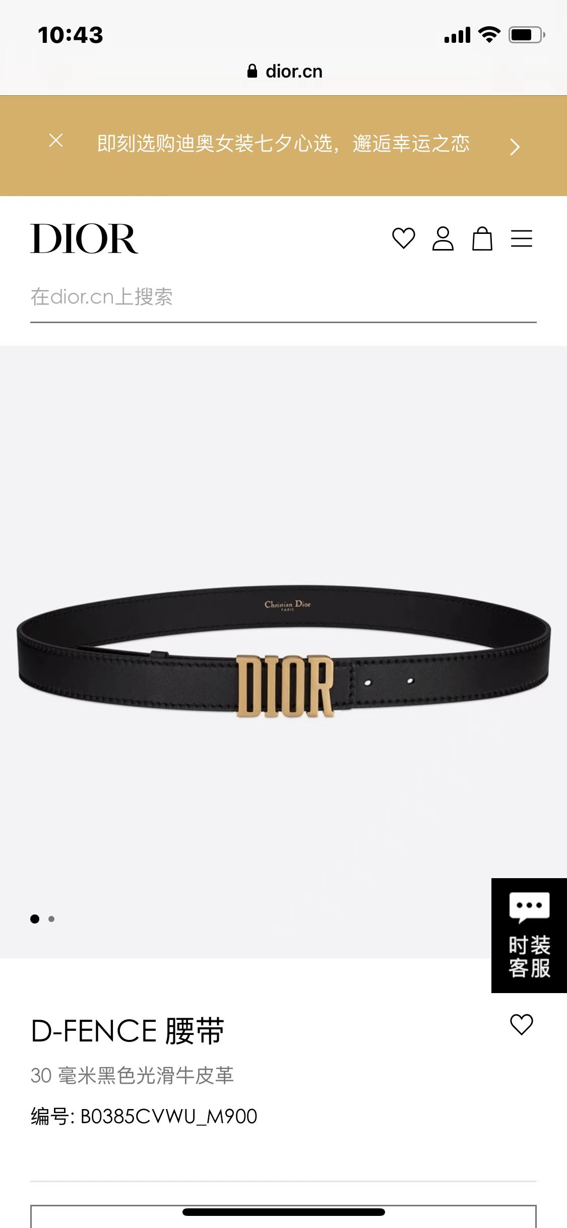 Dior Female Basic Belt Cow Leather Gold S-m-l