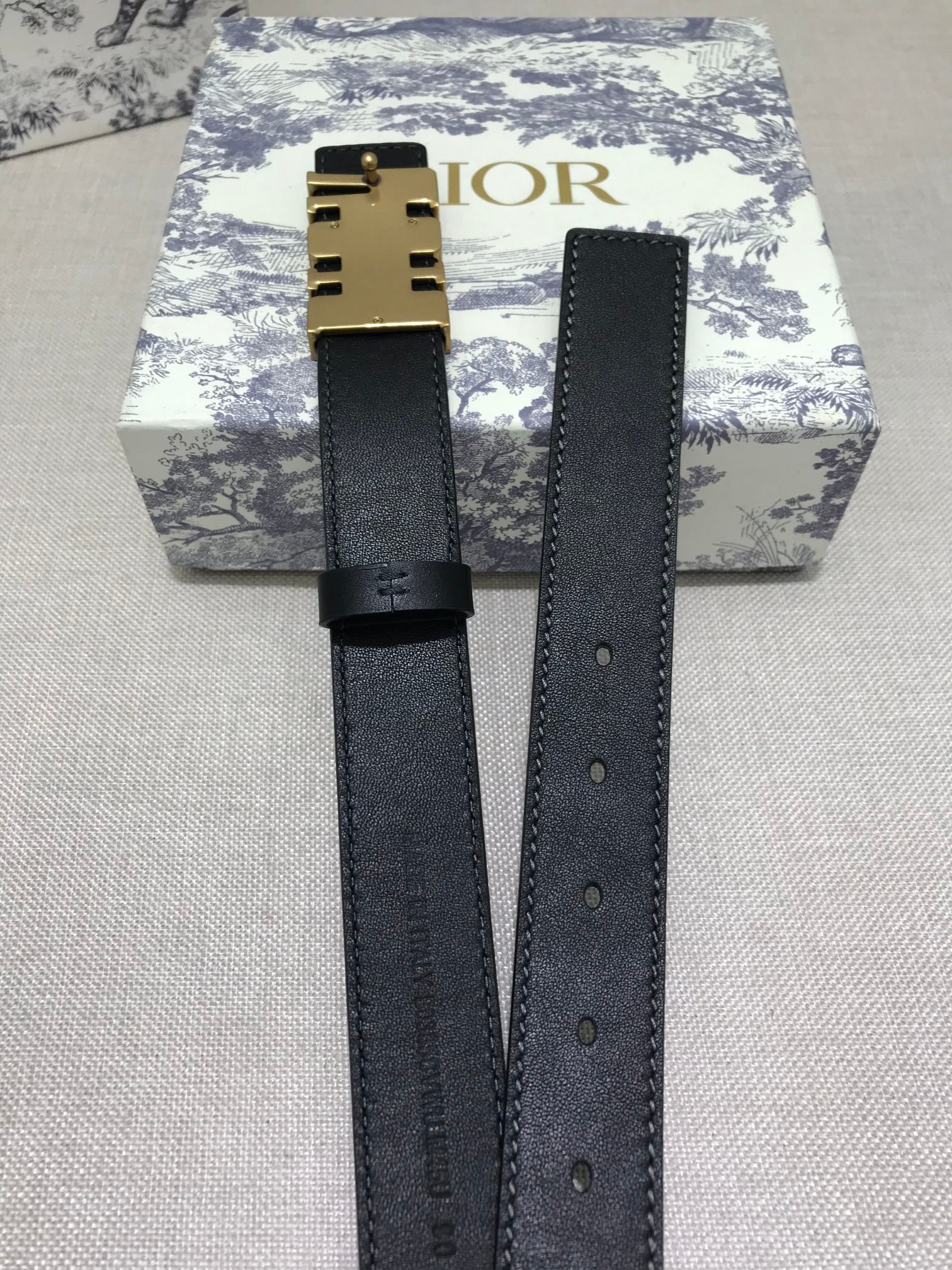 Dior Female Basic Belt Cow Leather Gold S-m-l