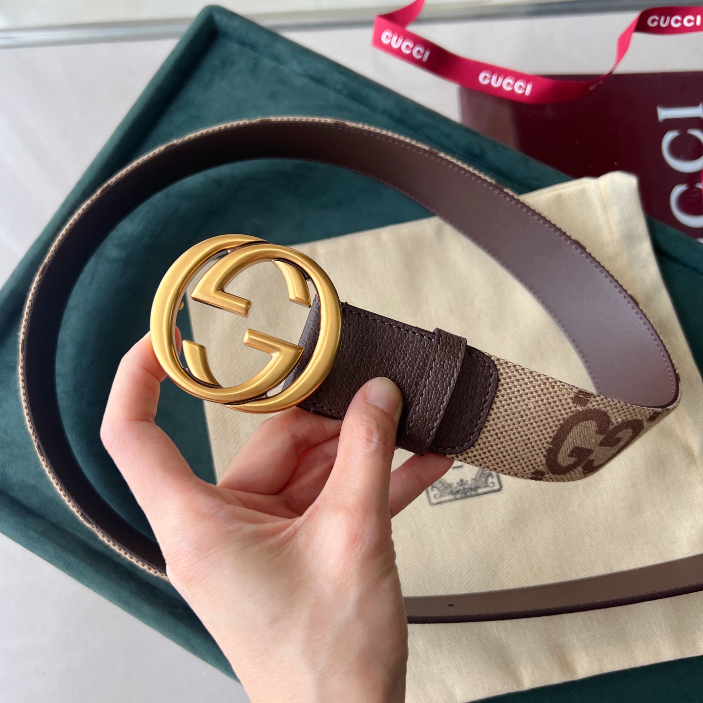 Gucci Basic Belt Canvas White Wide Width M