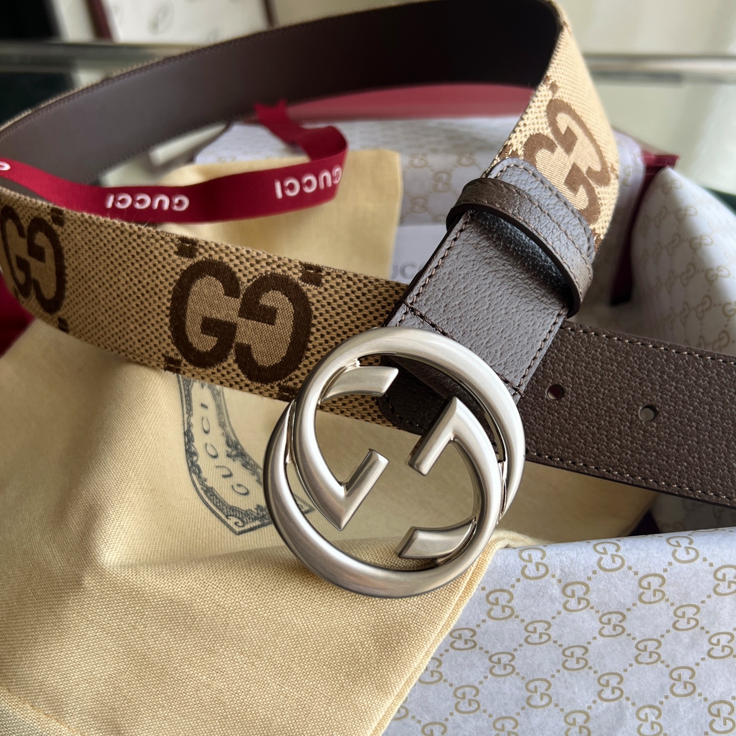 Gucci Basic Belt Canvas White Wide Width M