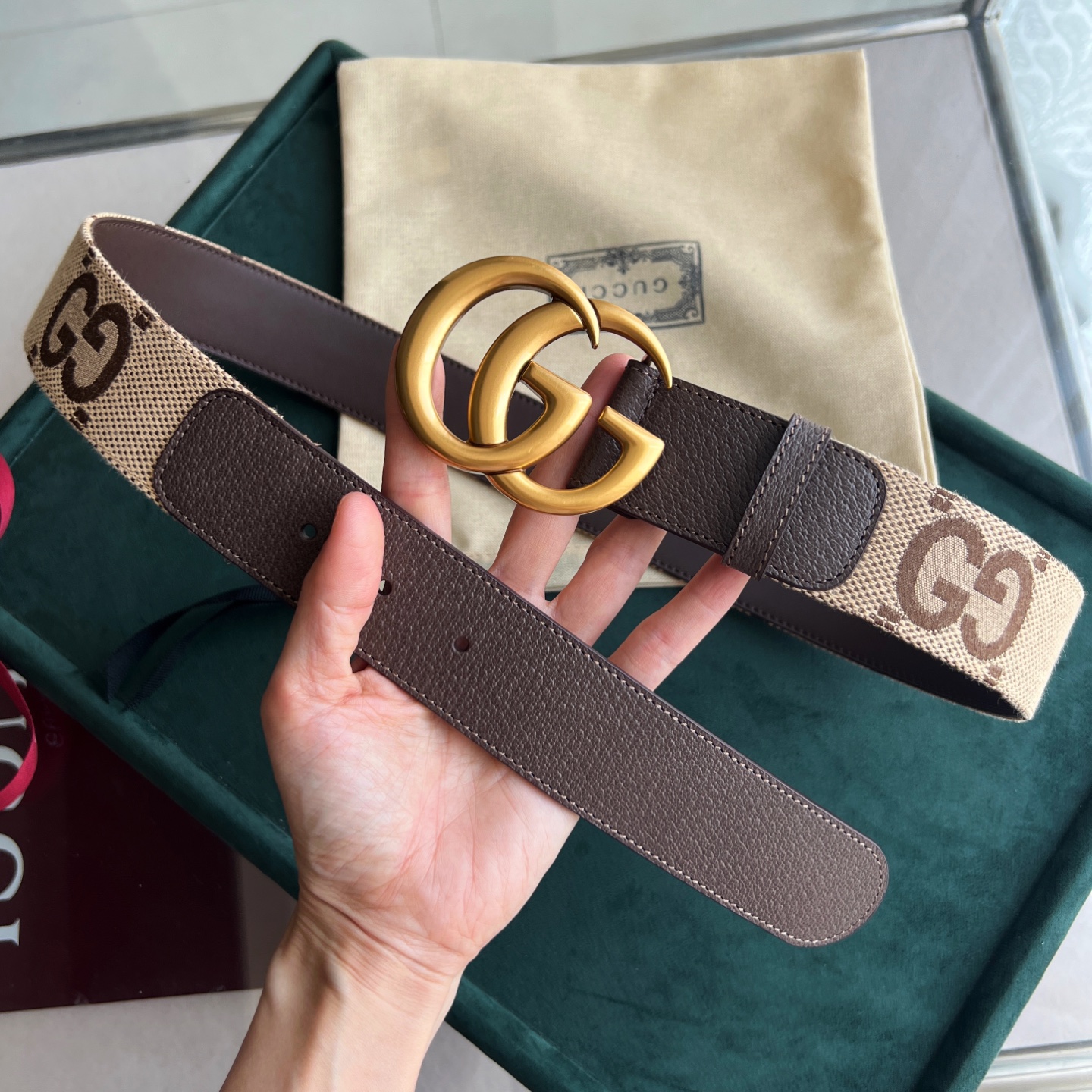 Gucci Basic Belt Canvas White Wide Width M