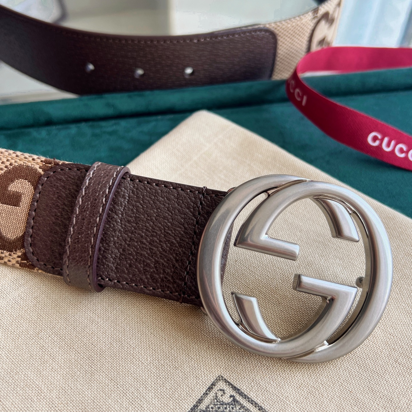 Gucci Basic Belt Canvas White Wide Width M