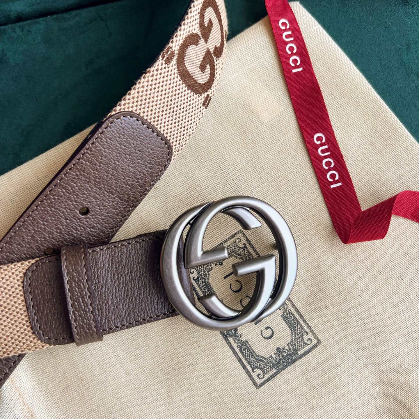 Gucci Basic Belt Canvas White Wide Width M