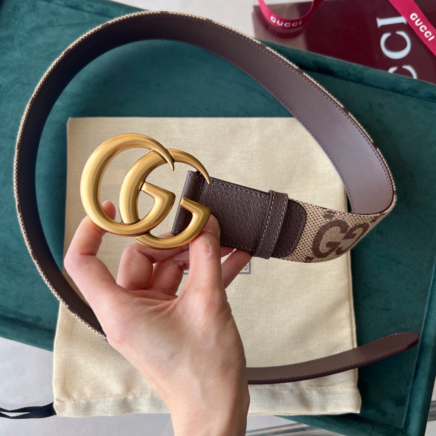 Gucci Basic Belt Canvas White Wide Width M