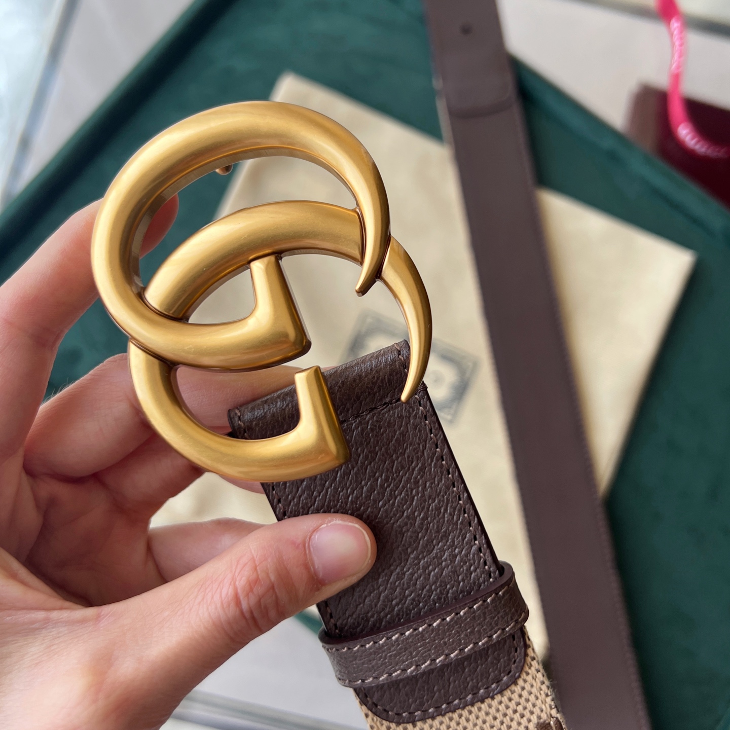 Gucci Basic Belt Canvas White Wide Width M