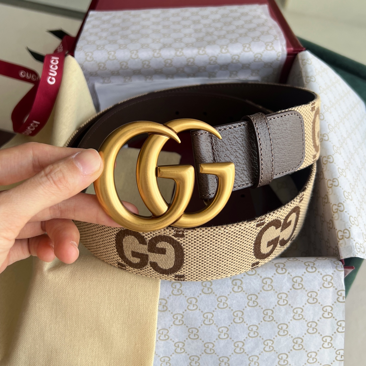 Gucci Basic Belt Canvas White Wide Width M