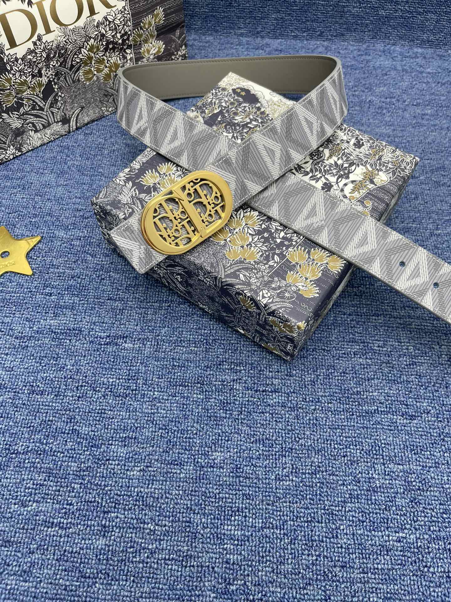 Dior Basic Belt Cow Leather Black Adjustable S-m