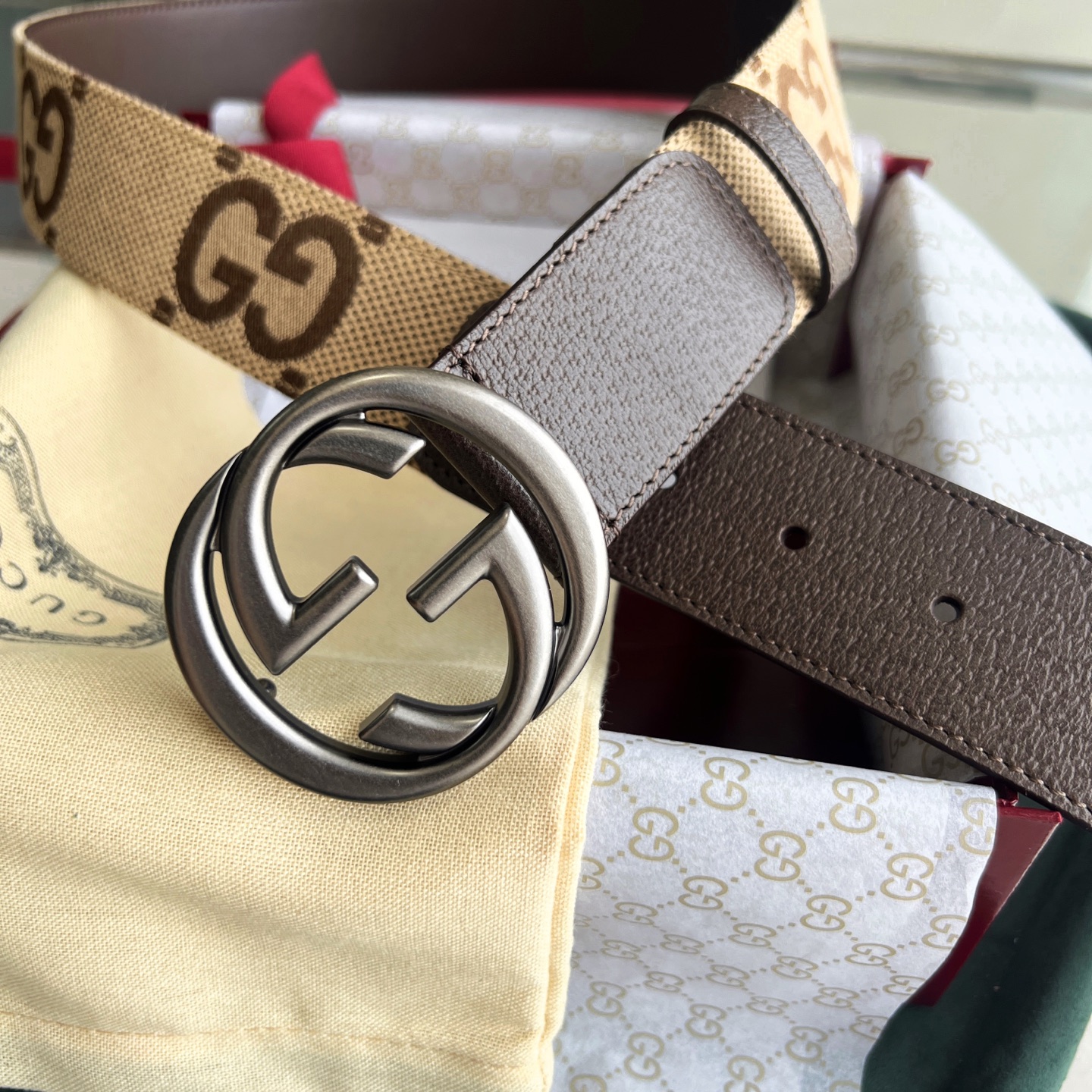 Gucci Basic Belt Canvas White Wide Width M-l