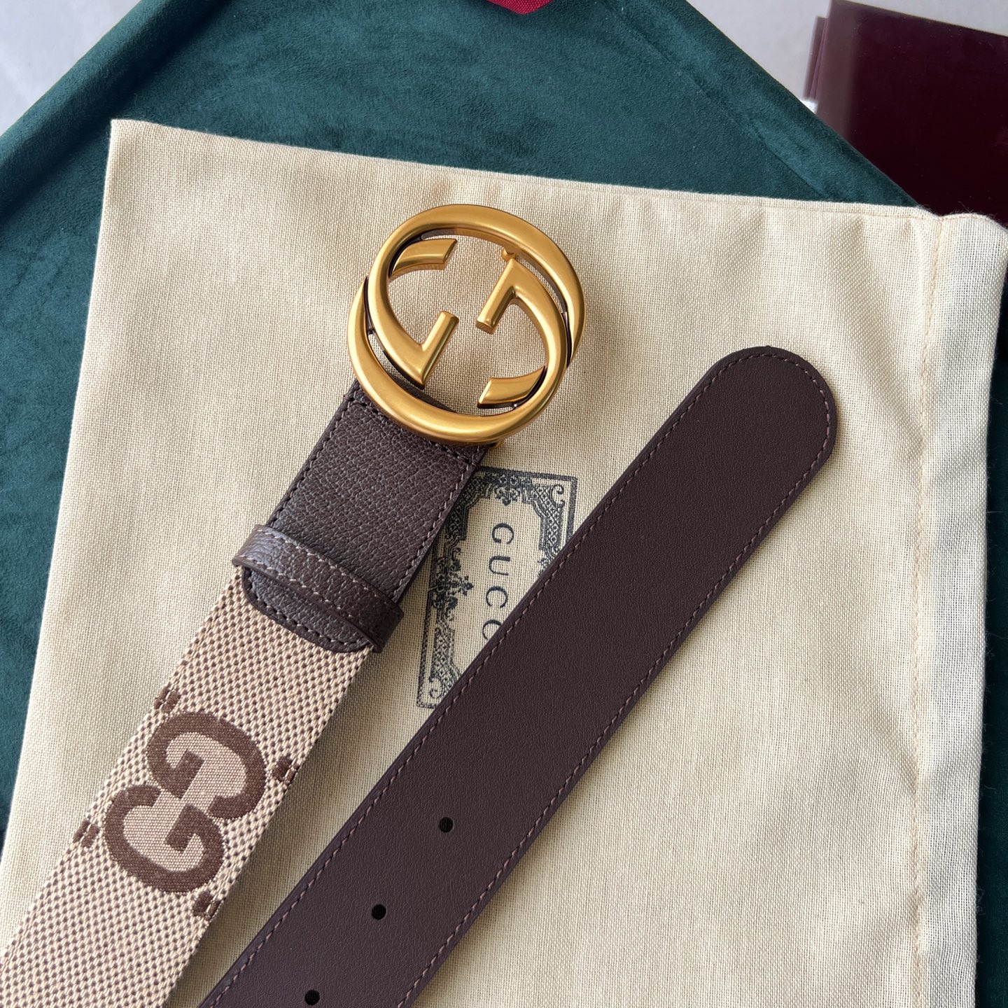 Gucci Basic Belt Canvas White Wide Width M-l