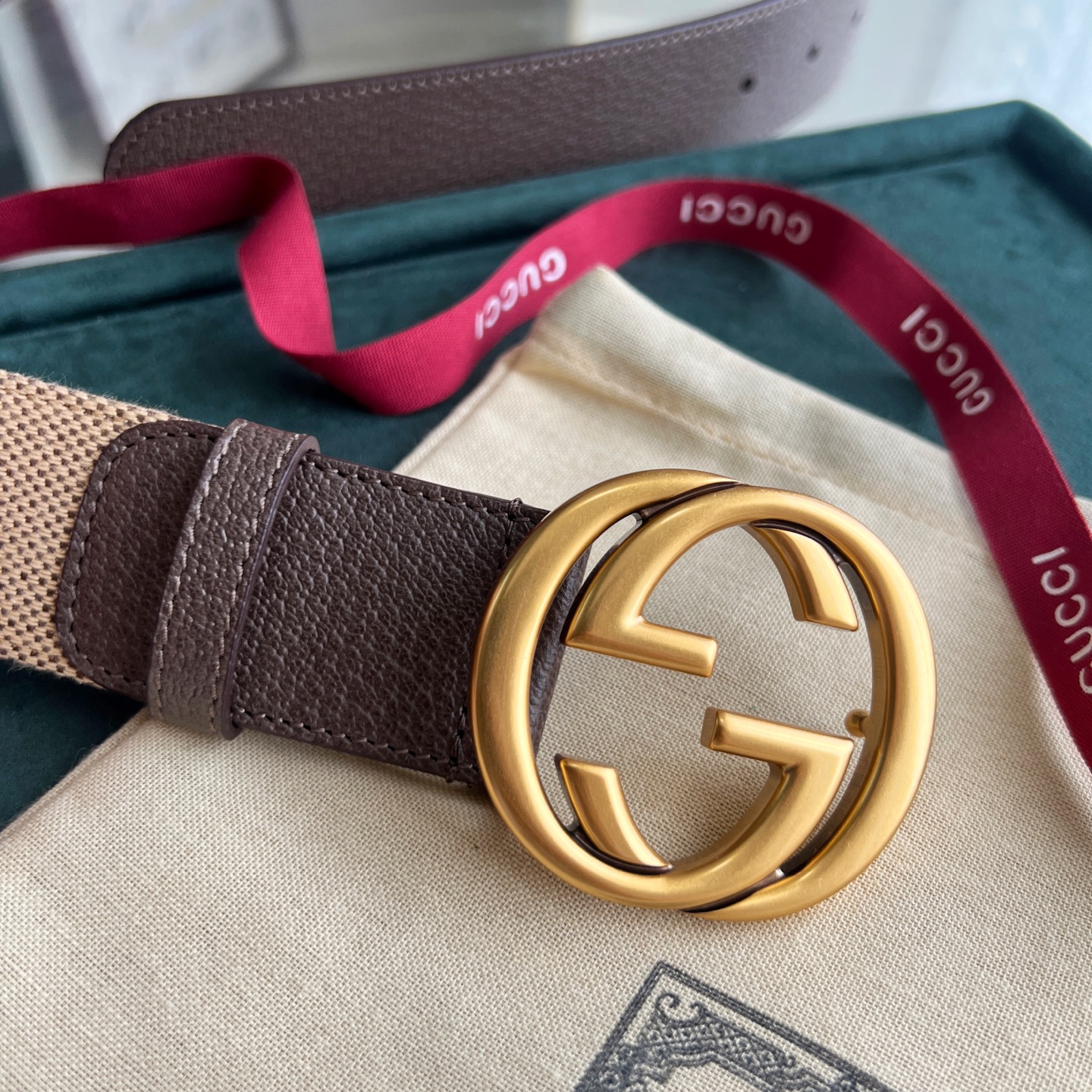 Gucci Basic Belt Canvas White Wide Width M-l