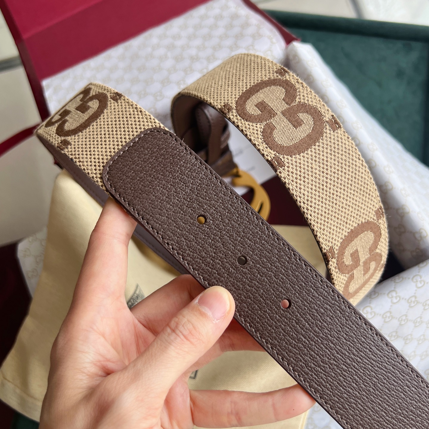 Gucci Basic Belt Canvas White Wide Width M-l