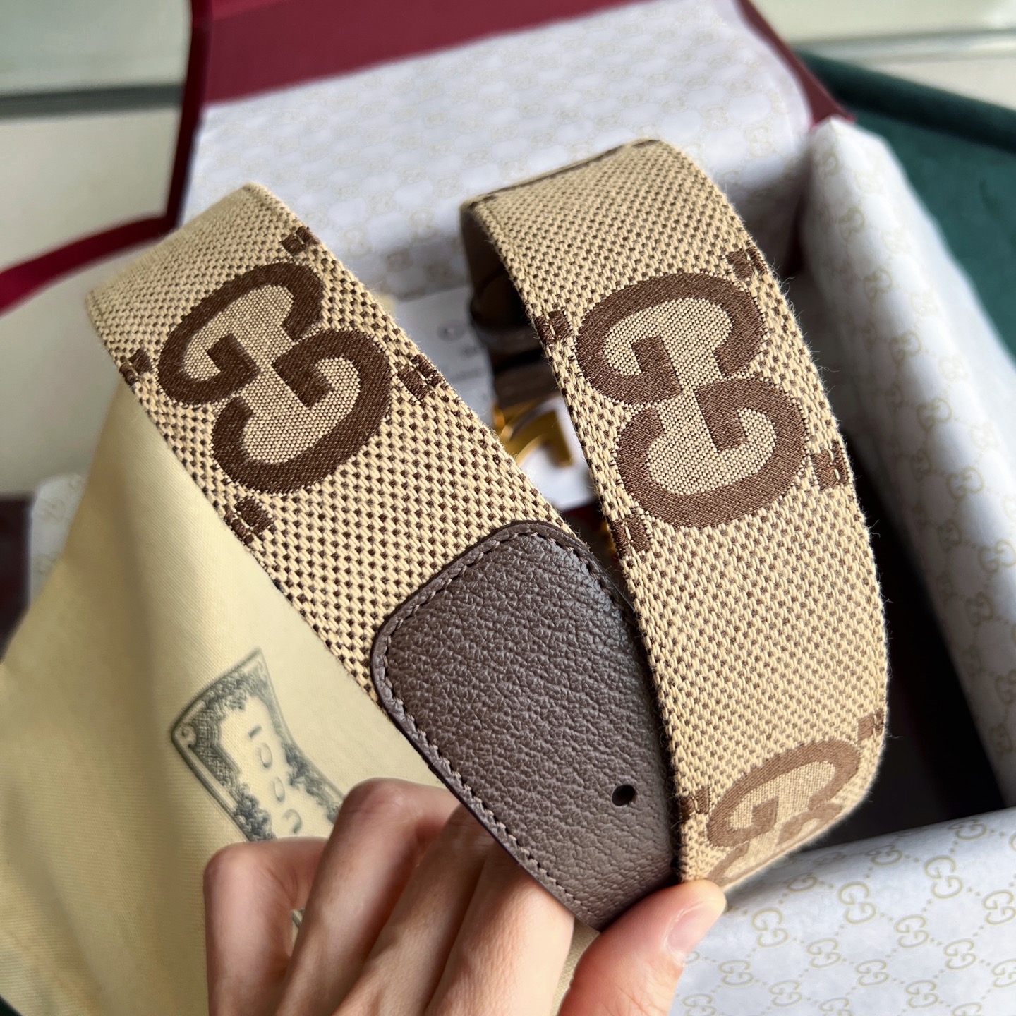 Gucci Basic Belt Canvas White Wide Width M-l