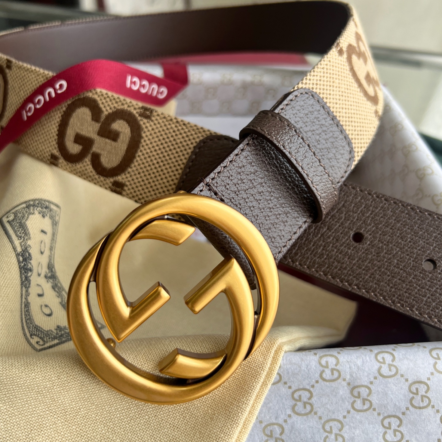 Gucci Basic Belt Canvas White Wide Width M-l