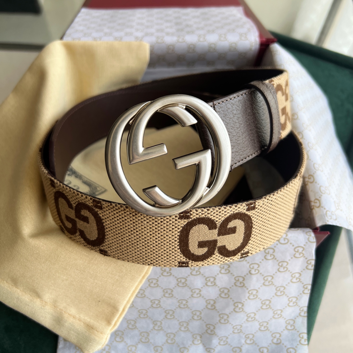 Gucci Basic Belt Canvas White Wide Width M-l