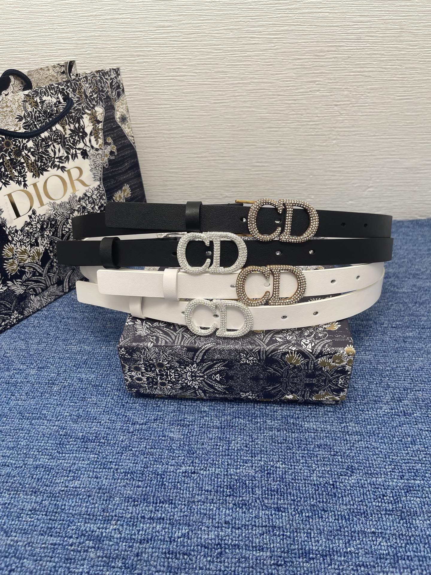Dior Female Basic Belt Cow Leather Black M