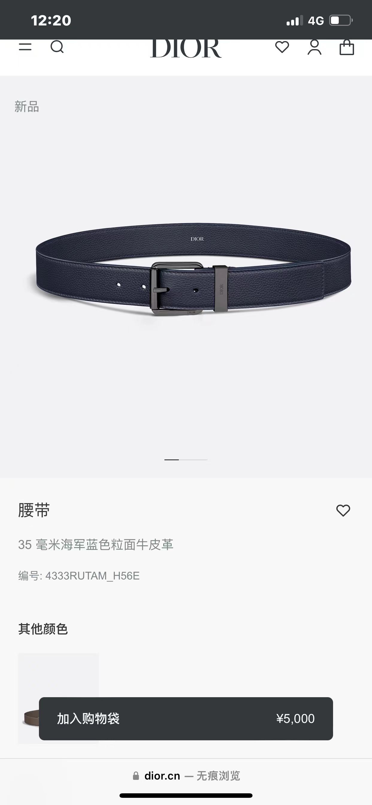 Dior Pin Buckle Belt Cow Leather Silver Adjustable M