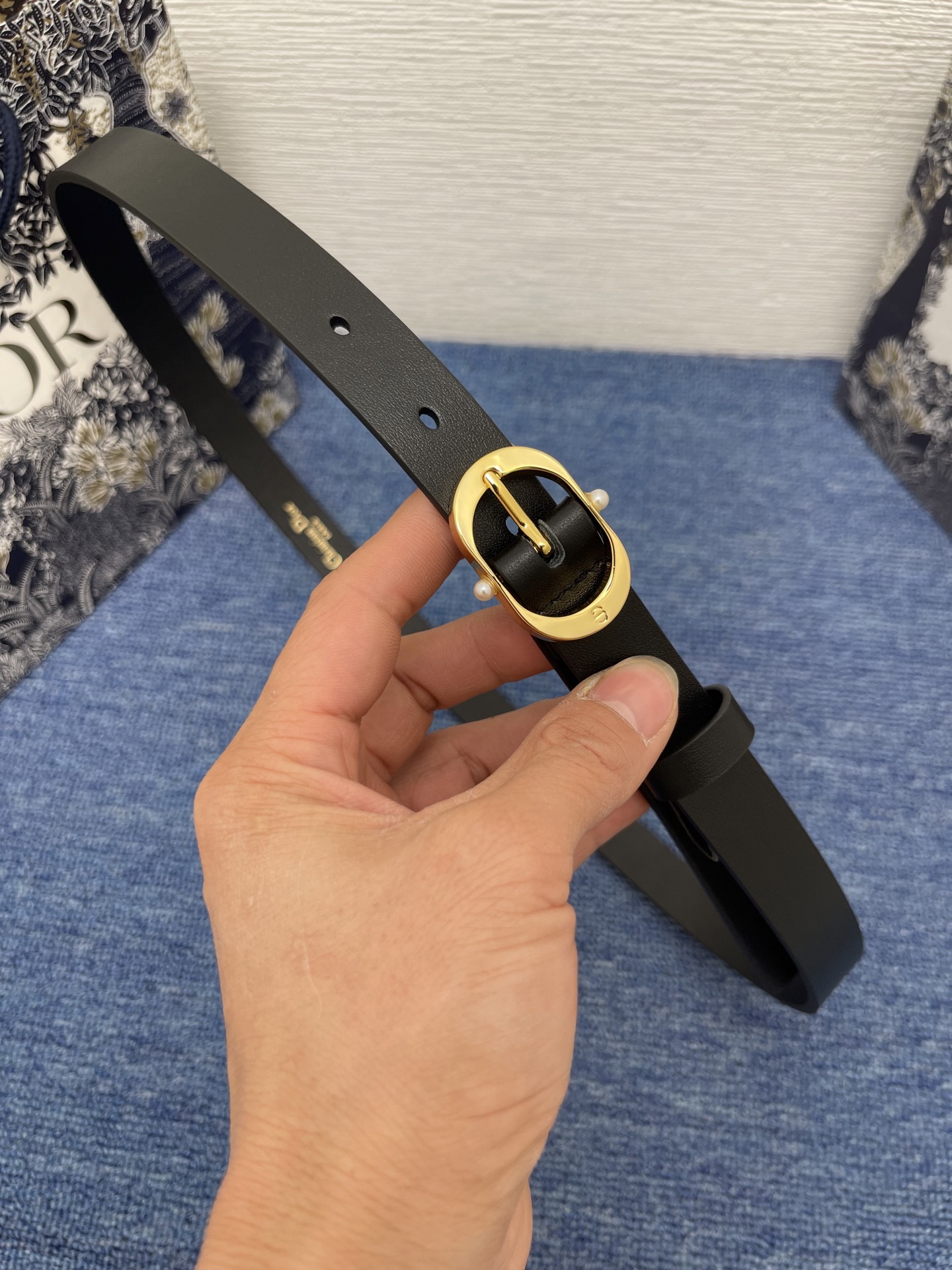 Dior Female Basic Belt Cow Leather Black S-m