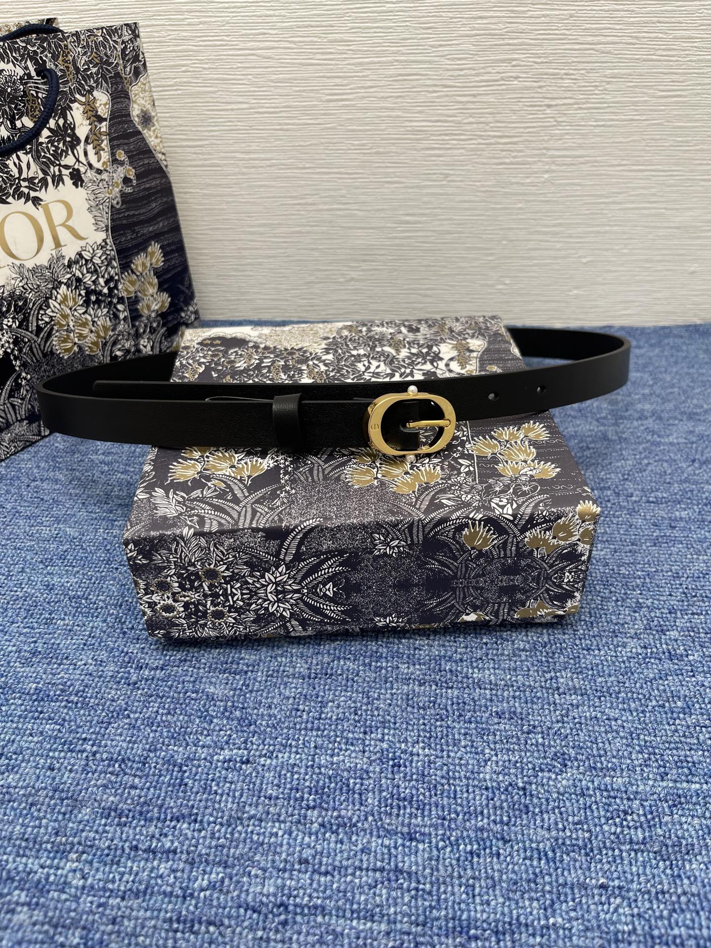 Dior Female Basic Belt Cow Leather Black S-m