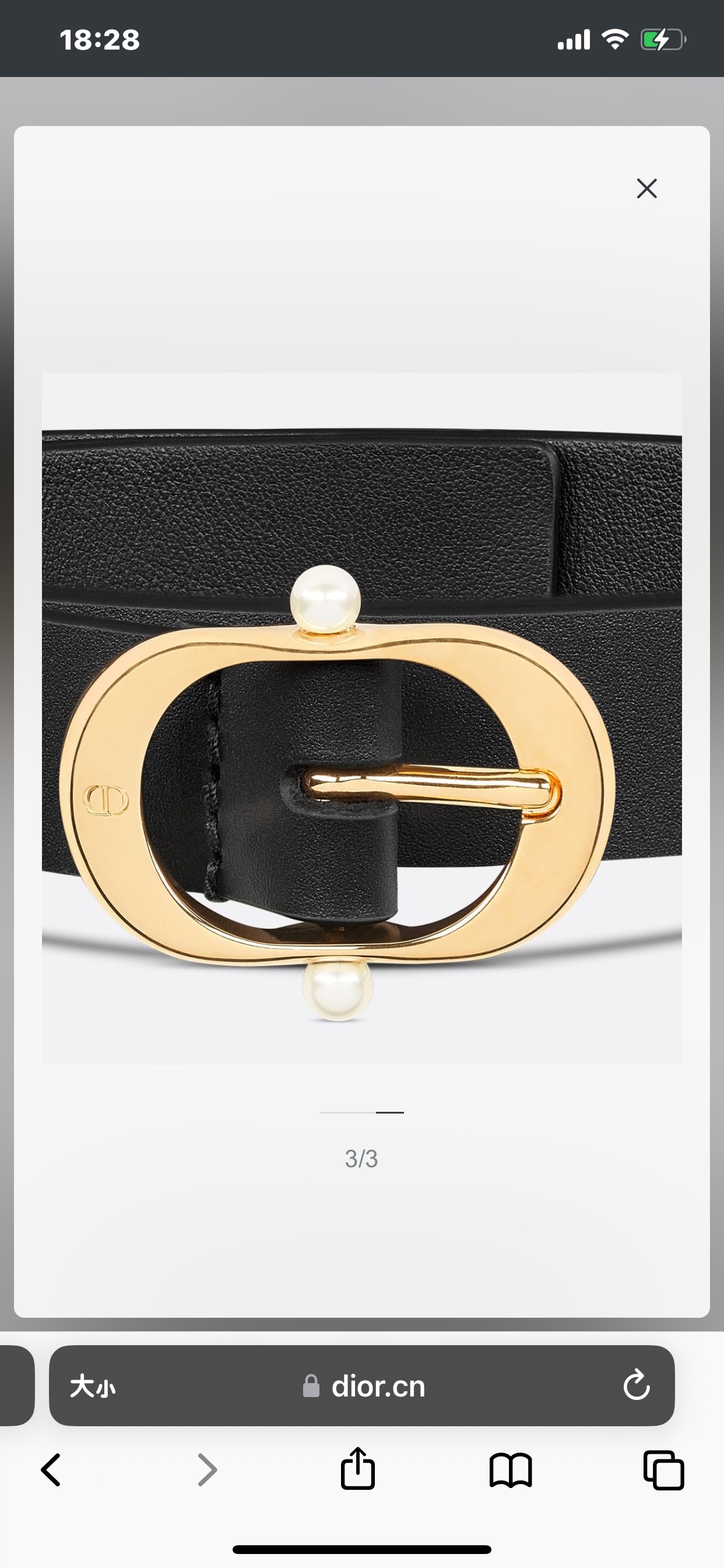 Dior Female Basic Belt Cow Leather Black S-m