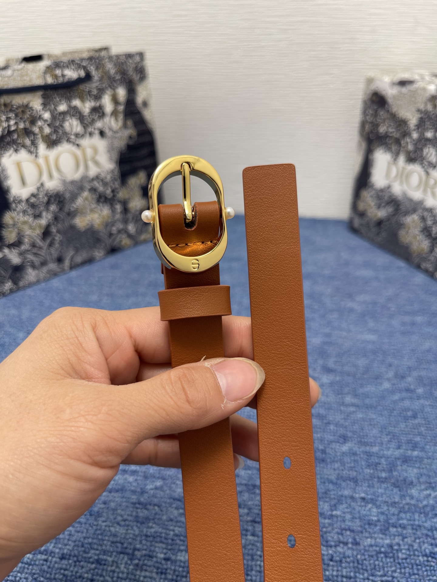 Dior Female Basic Belt Cow Leather Black S-m