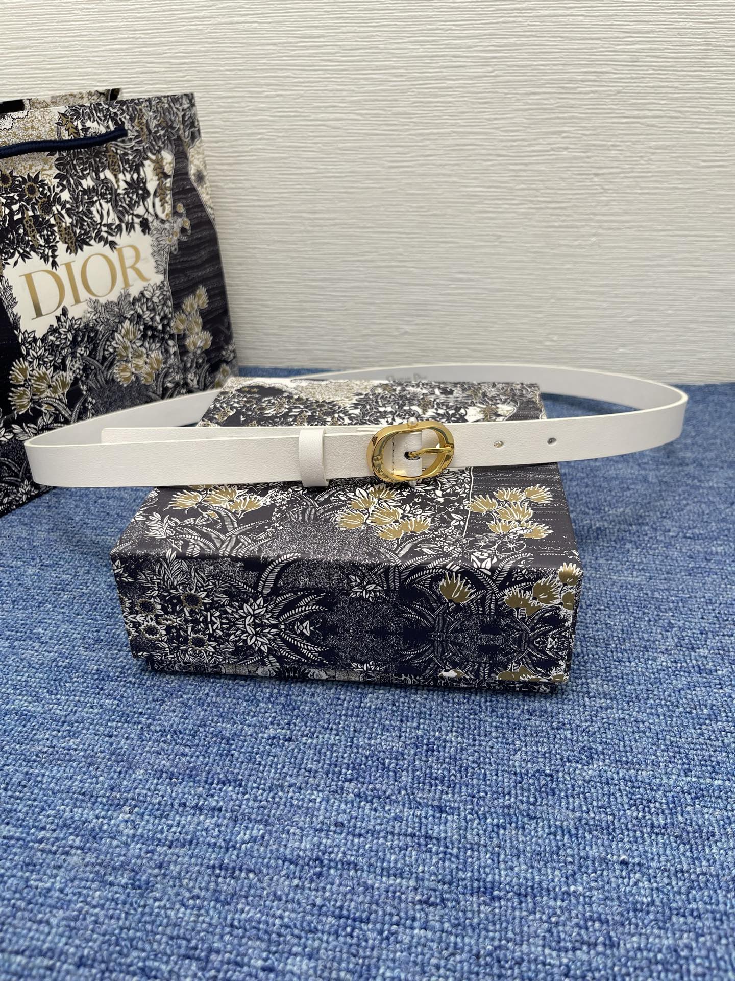 Dior Female Basic Belt Cow Leather Black S-m