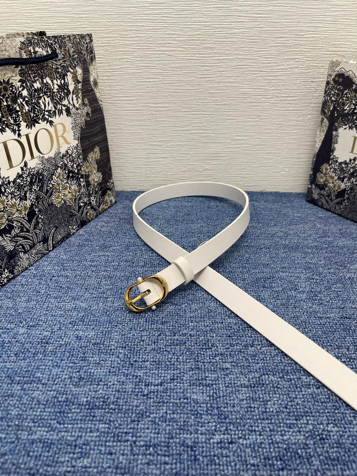 Dior Female Basic Belt Cow Leather Black S-m