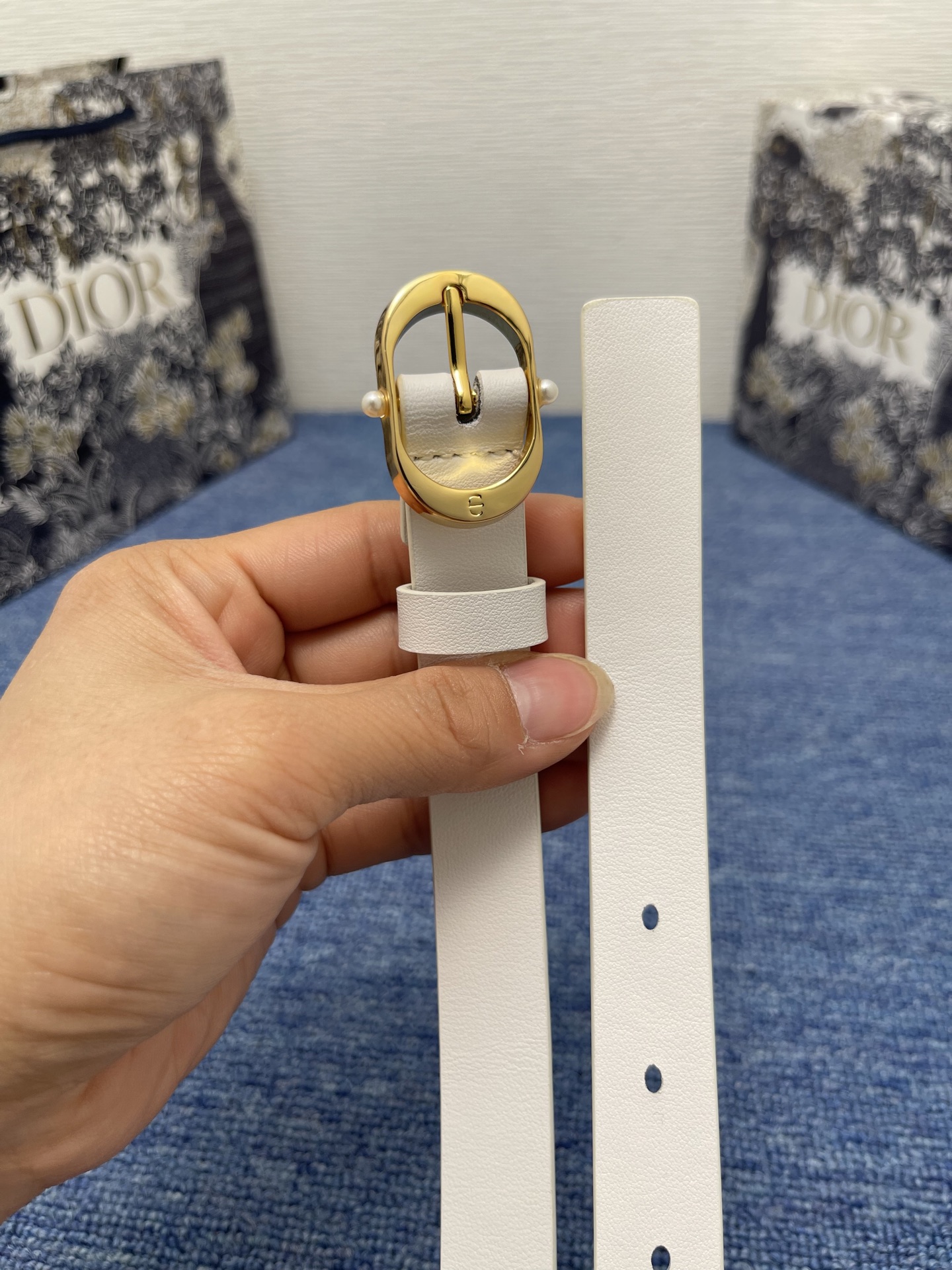 Dior Female Basic Belt Cow Leather Black S-m